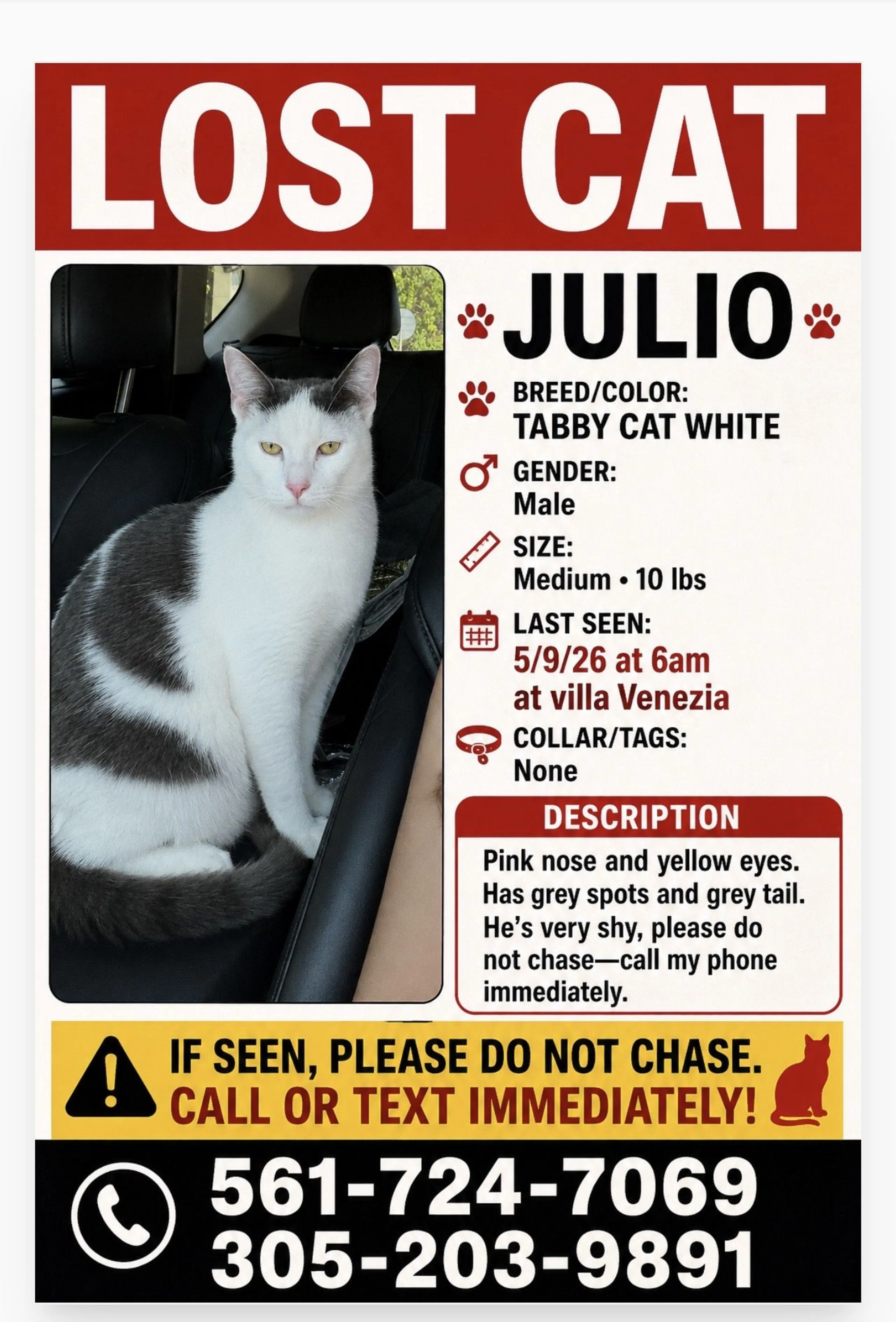 Lost pet