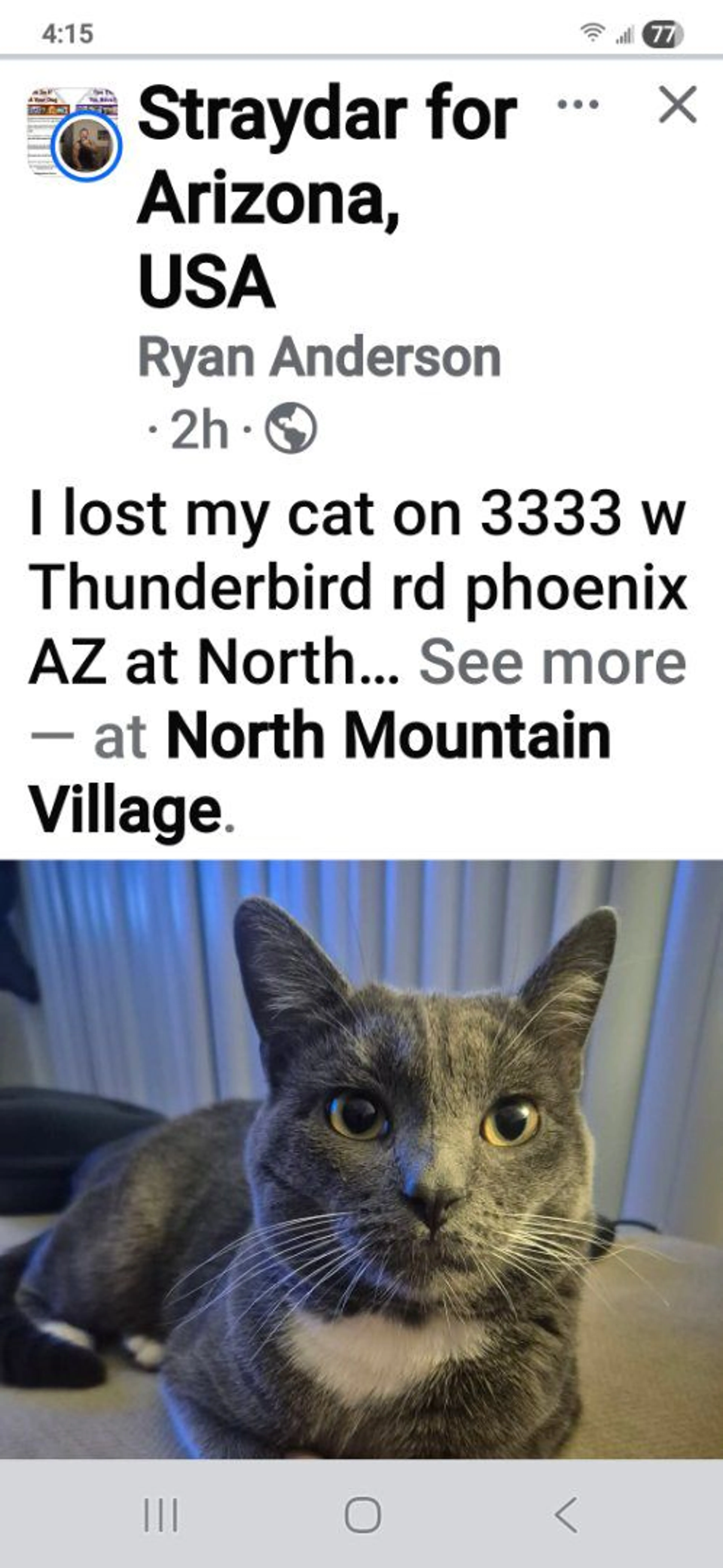 Lost pet