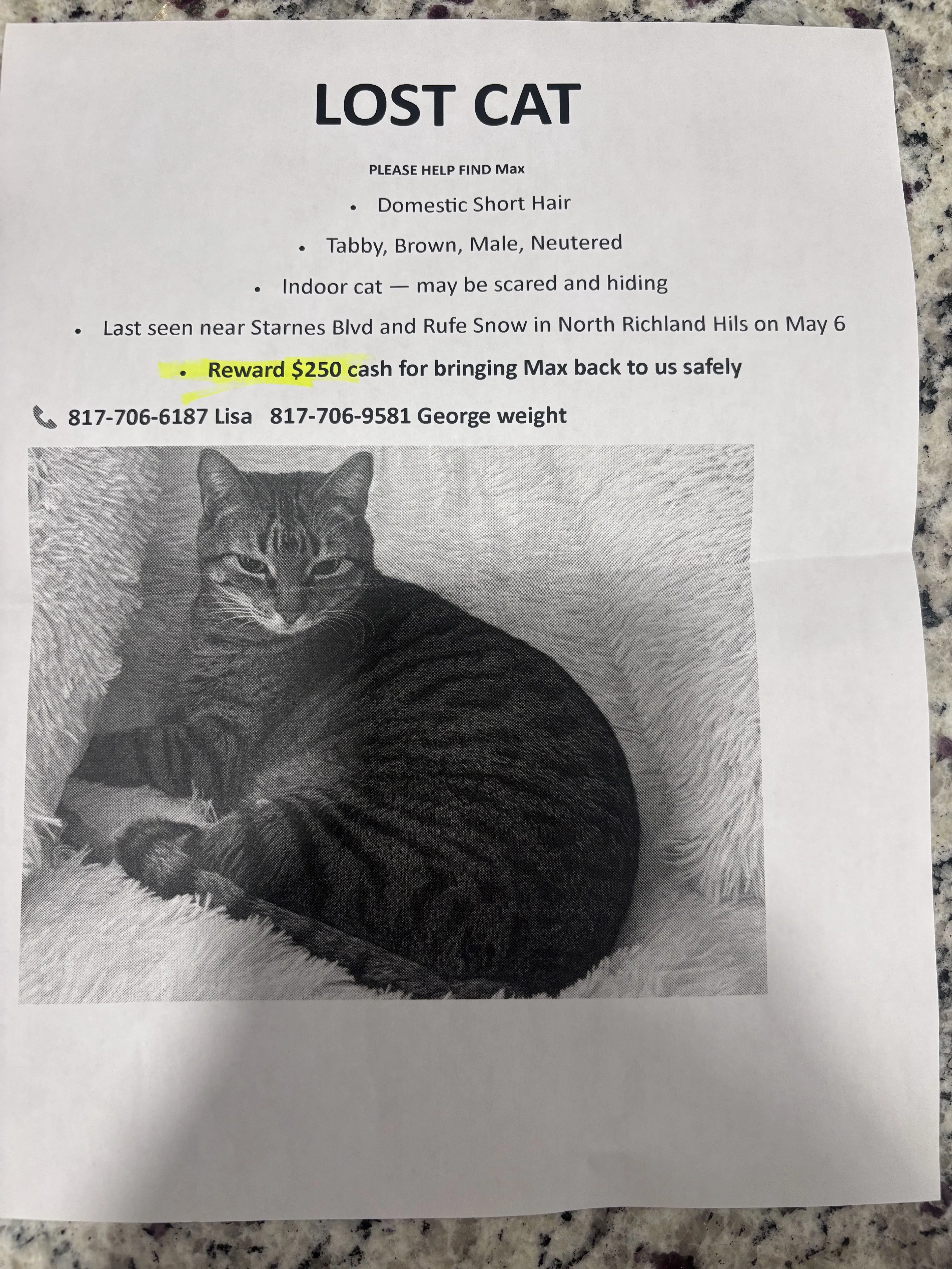 Lost pet