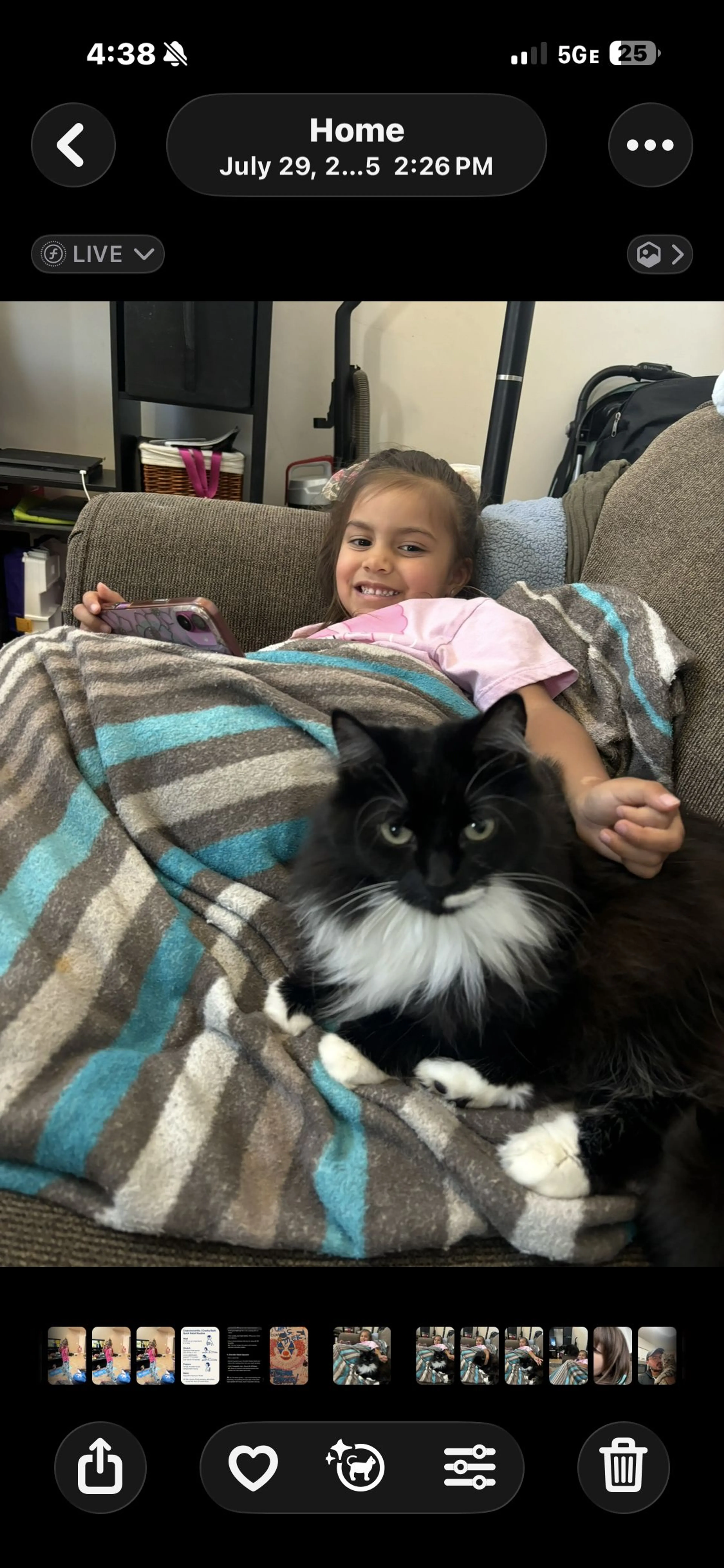 Lost pet-2