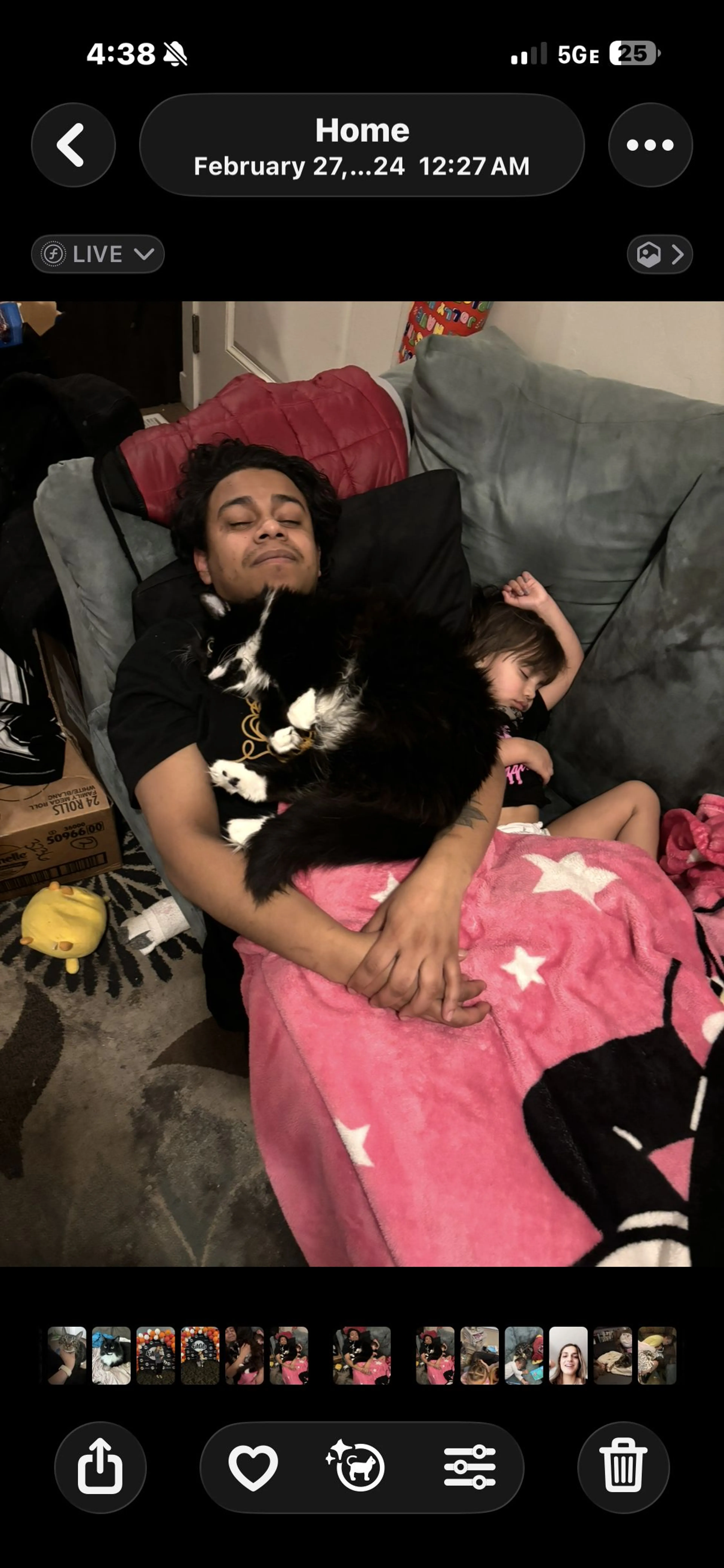 Lost pet-1