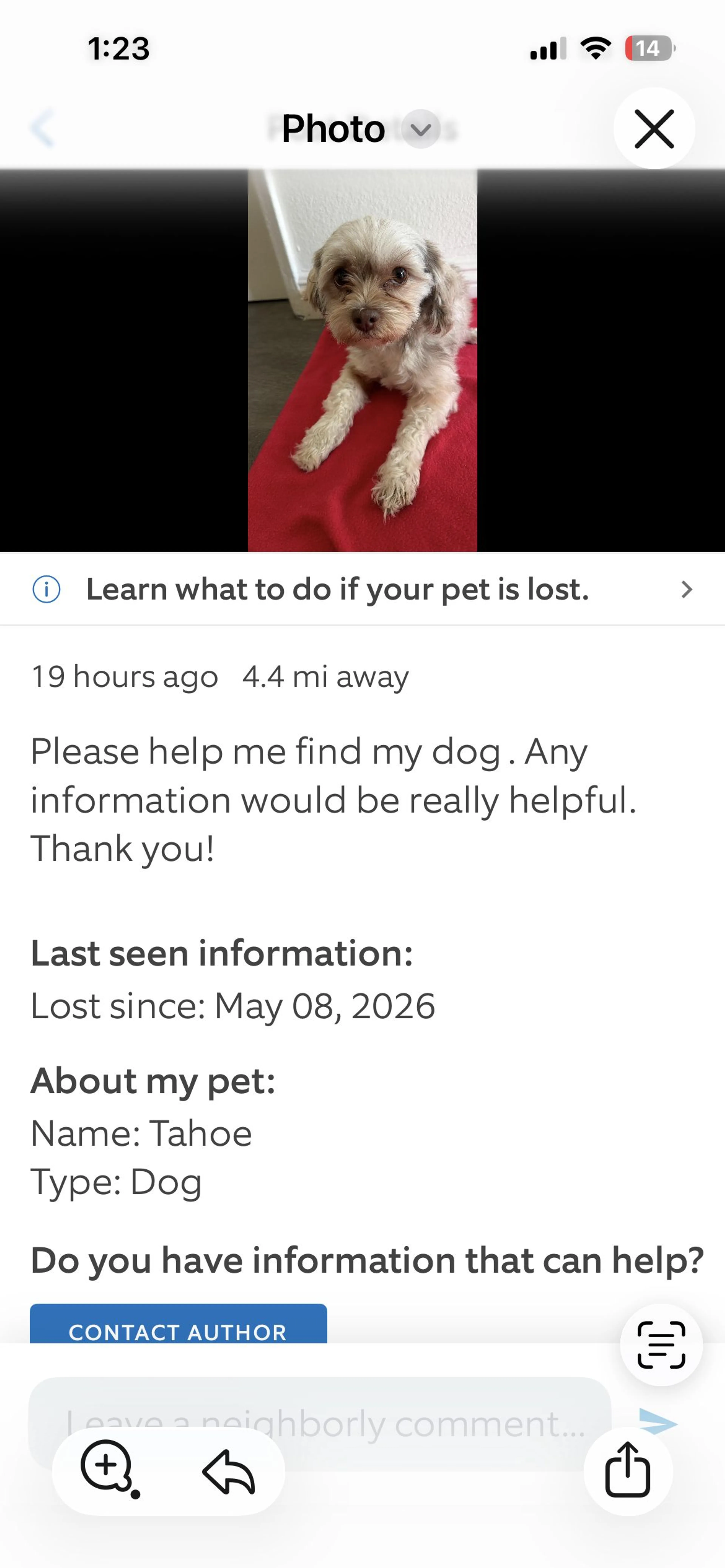 Lost pet