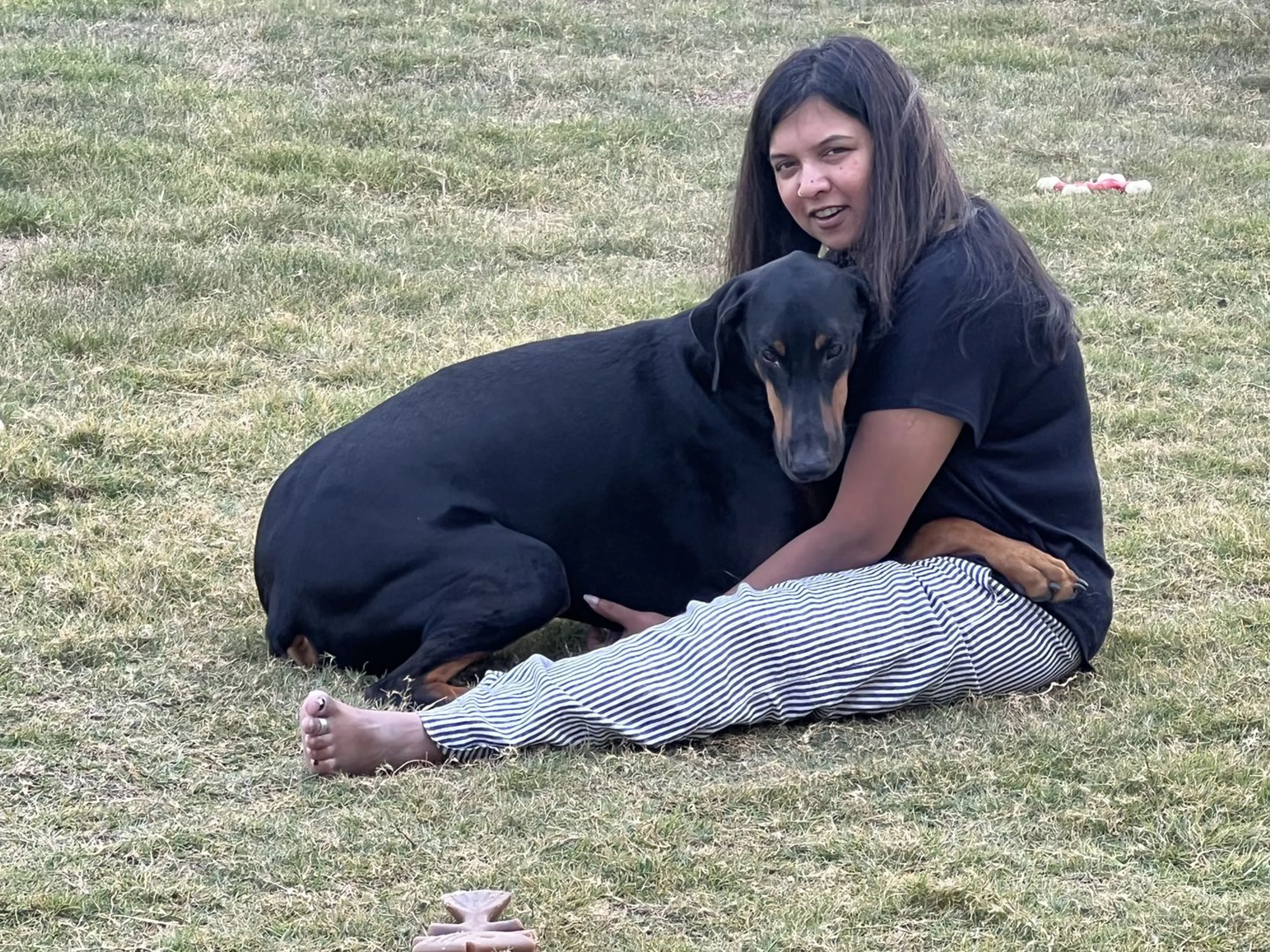 Lost pet-1