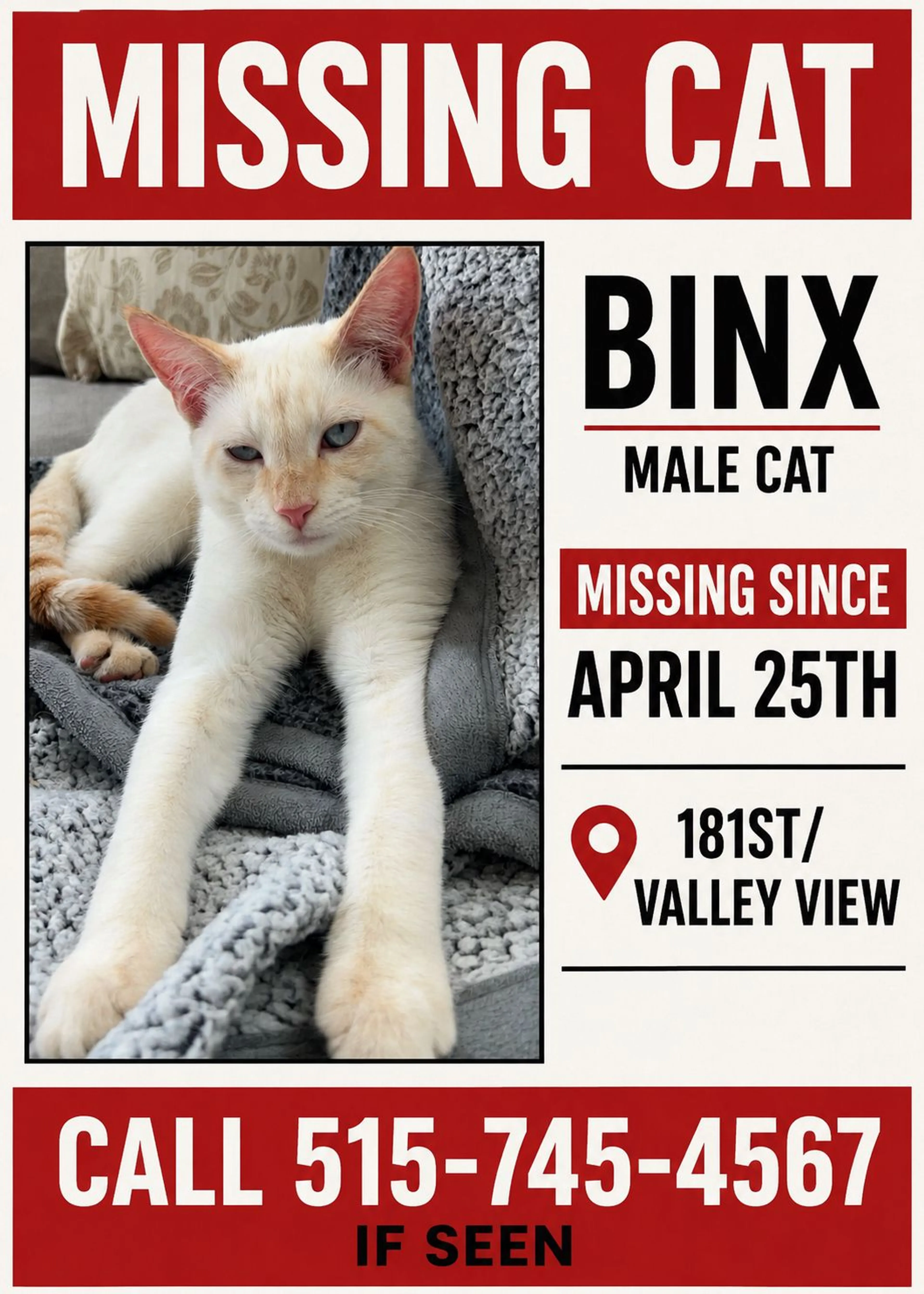 Lost pet