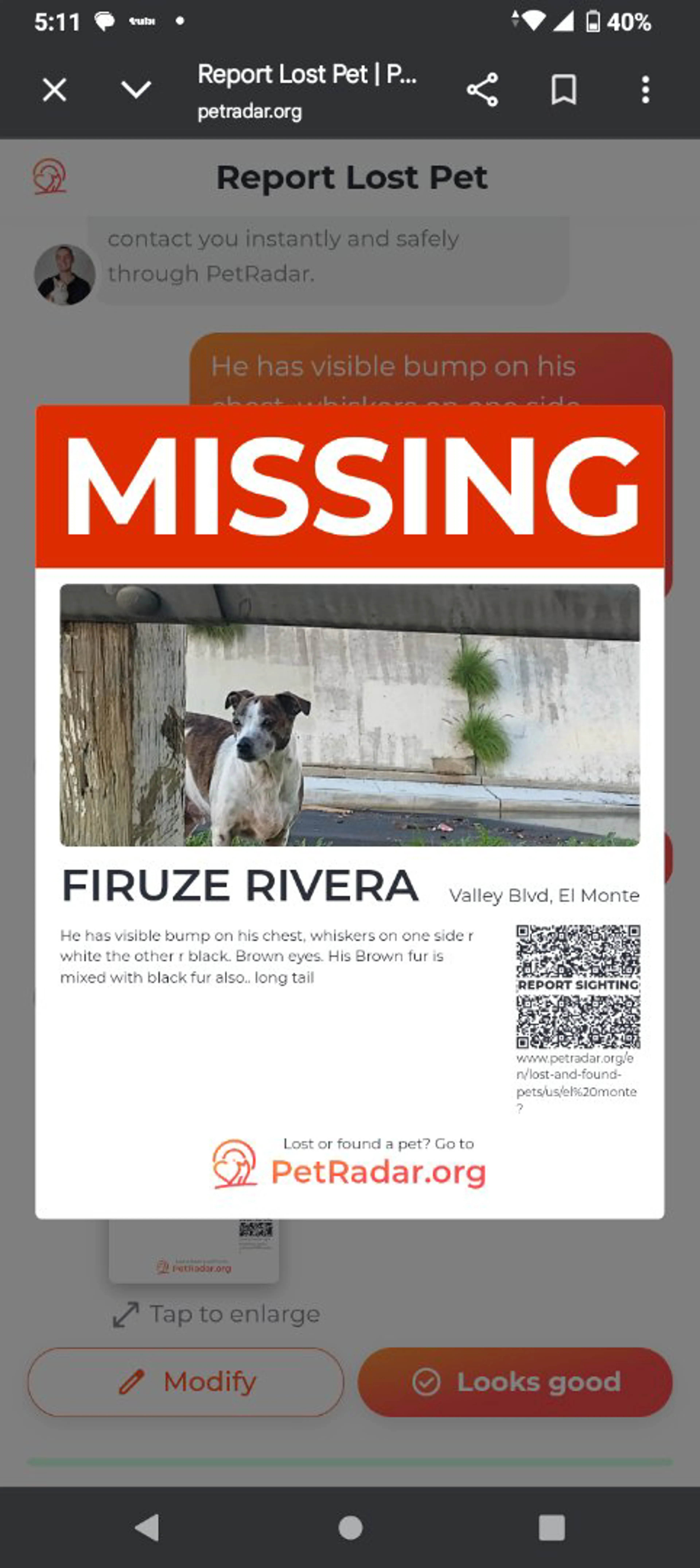 Lost pet-0