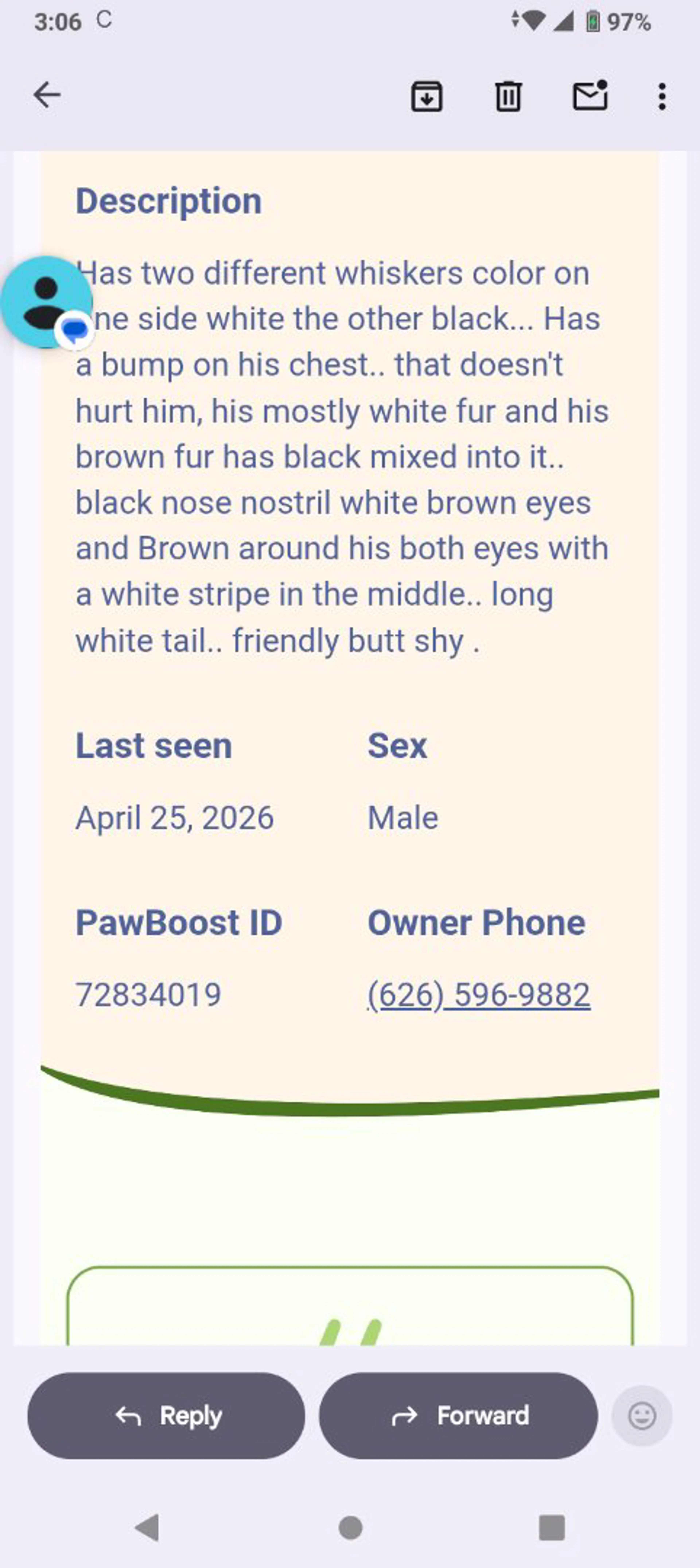 Lost pet-1