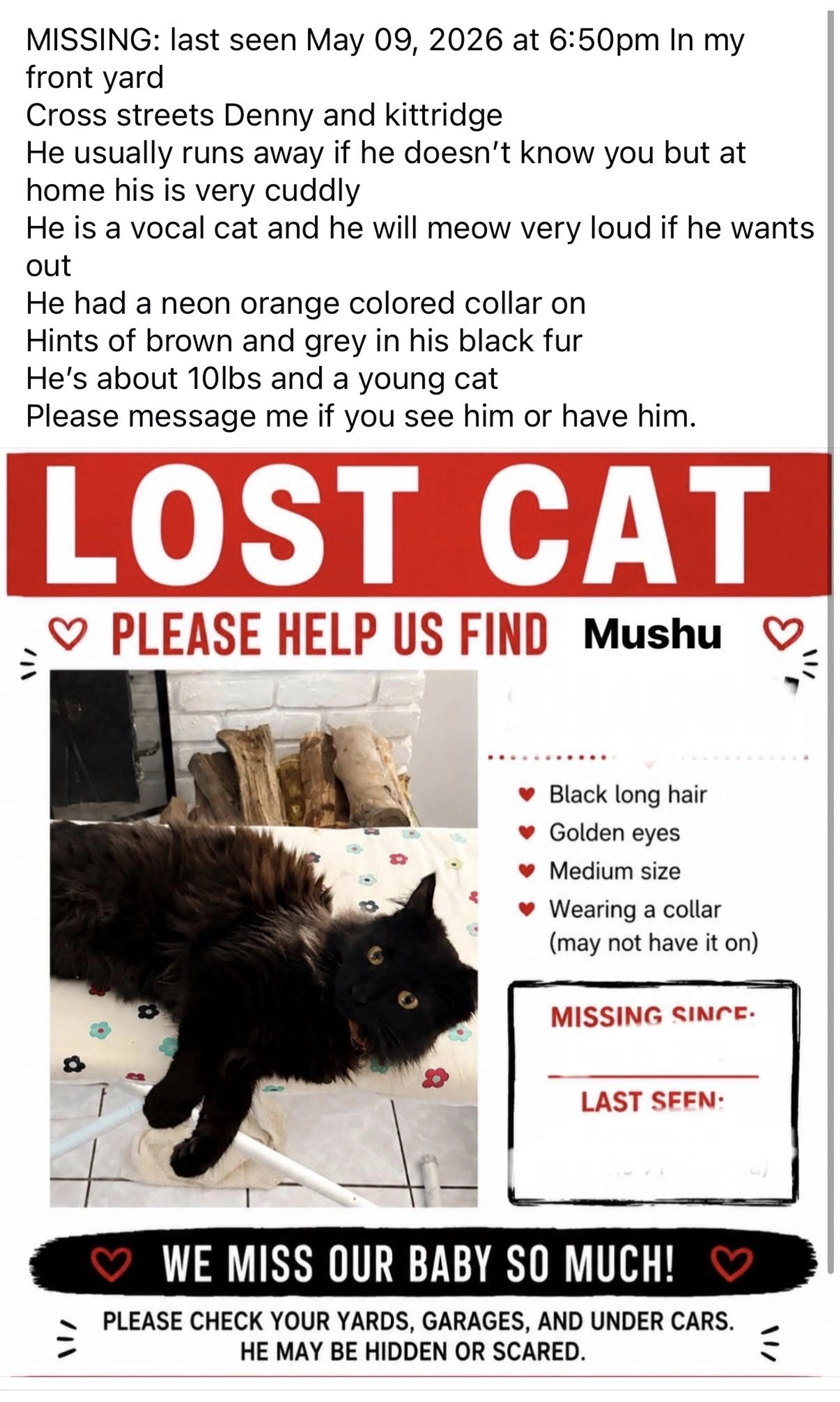 Lost pet