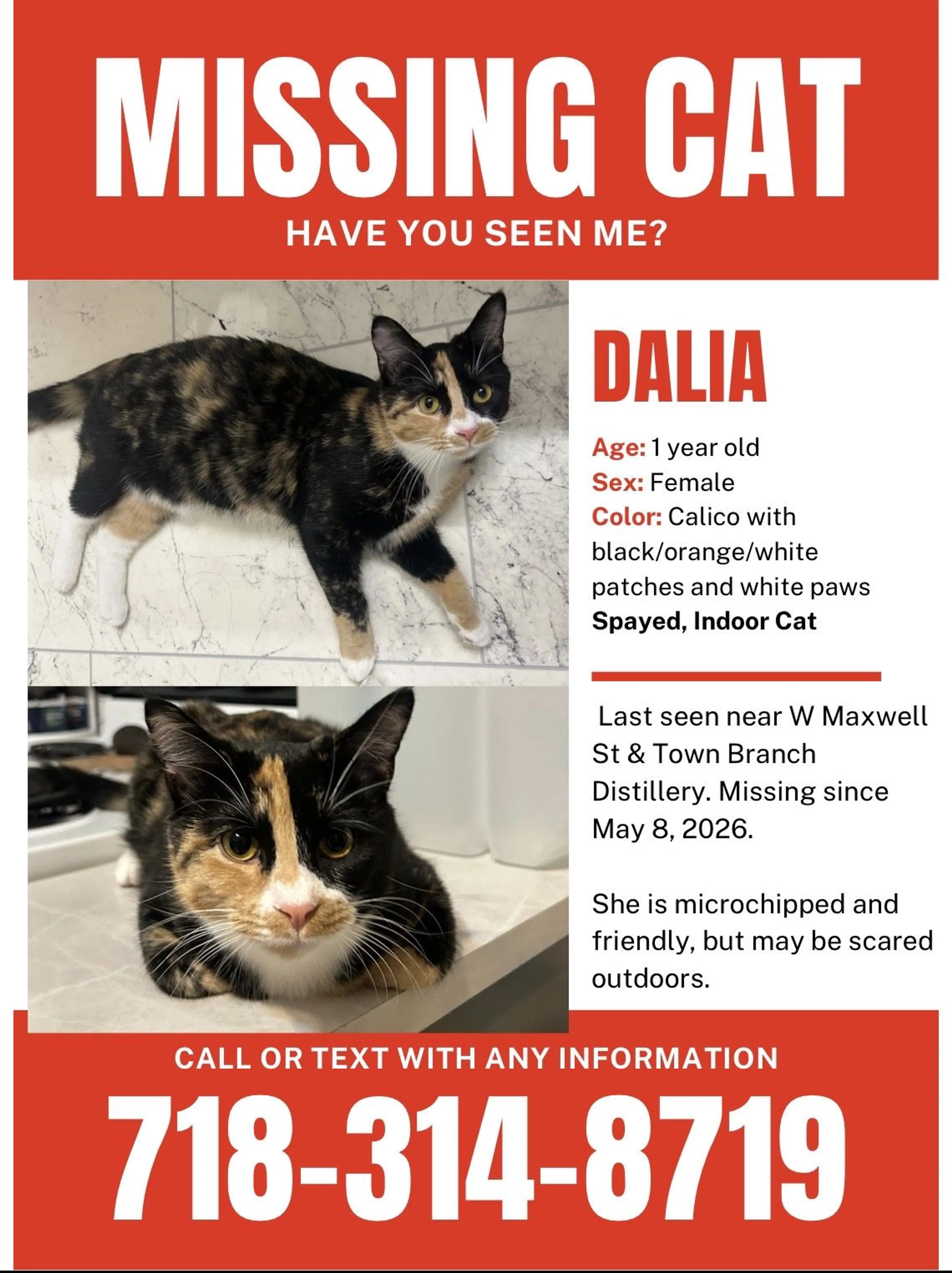 Lost pet