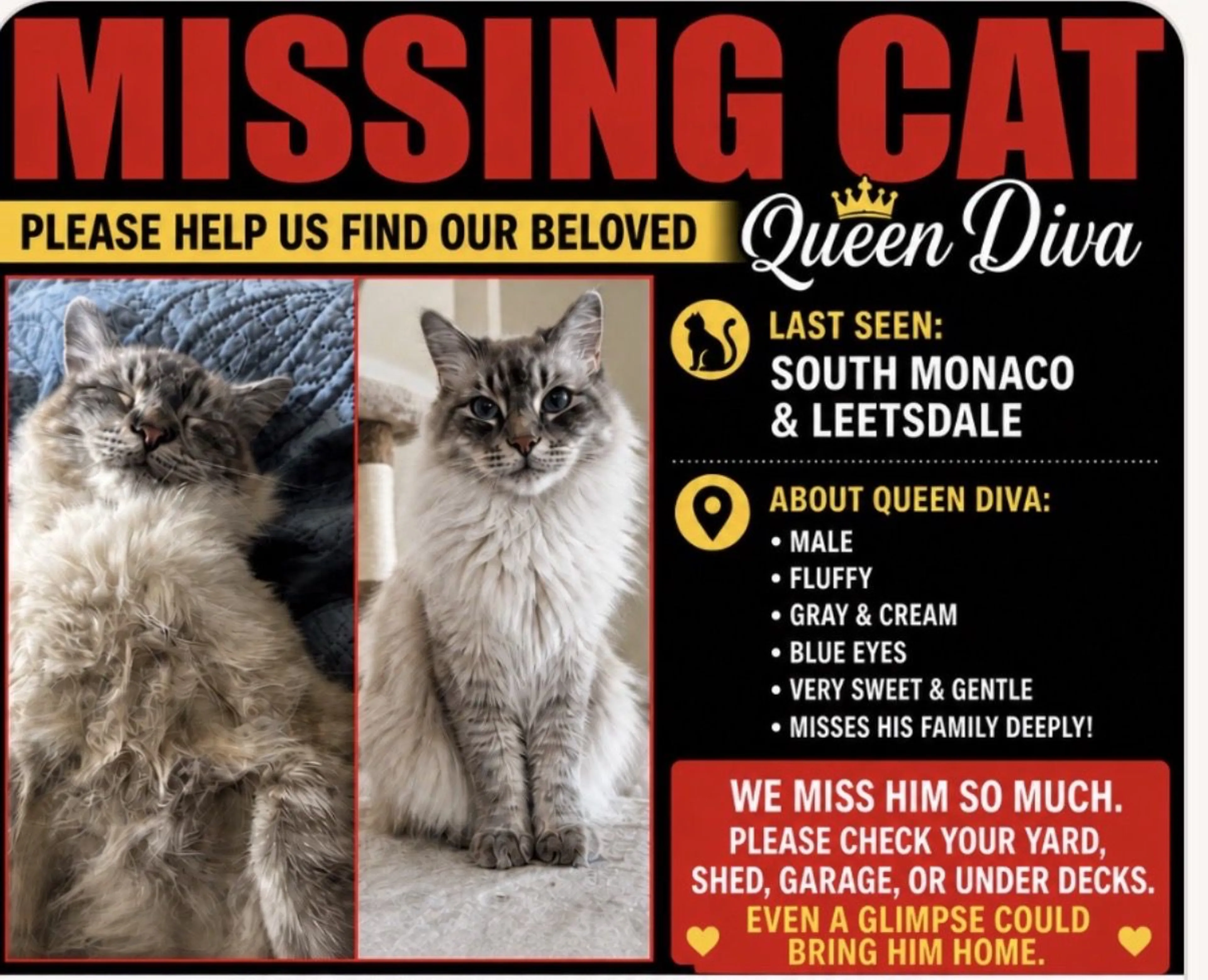 Lost pet