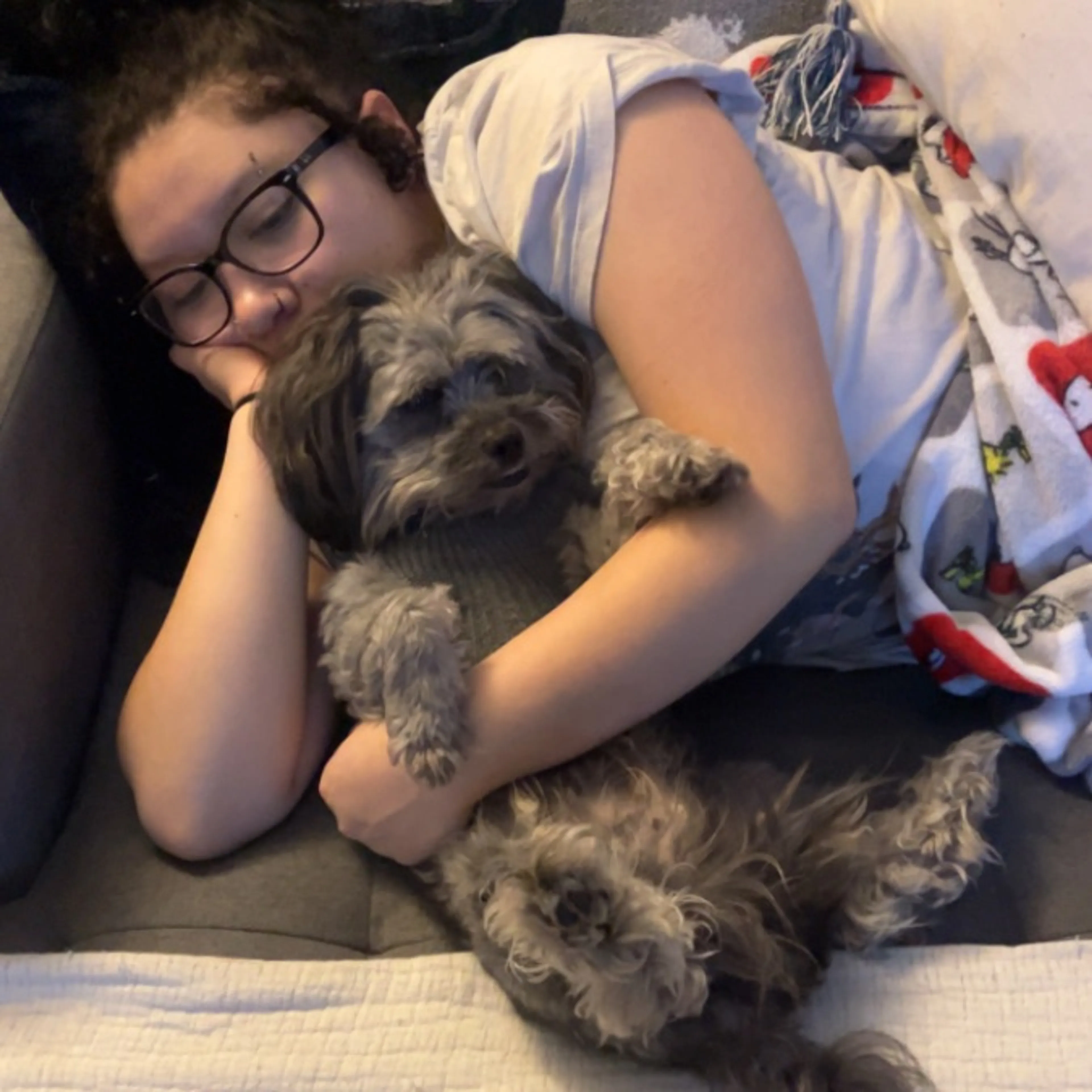 Lost pet