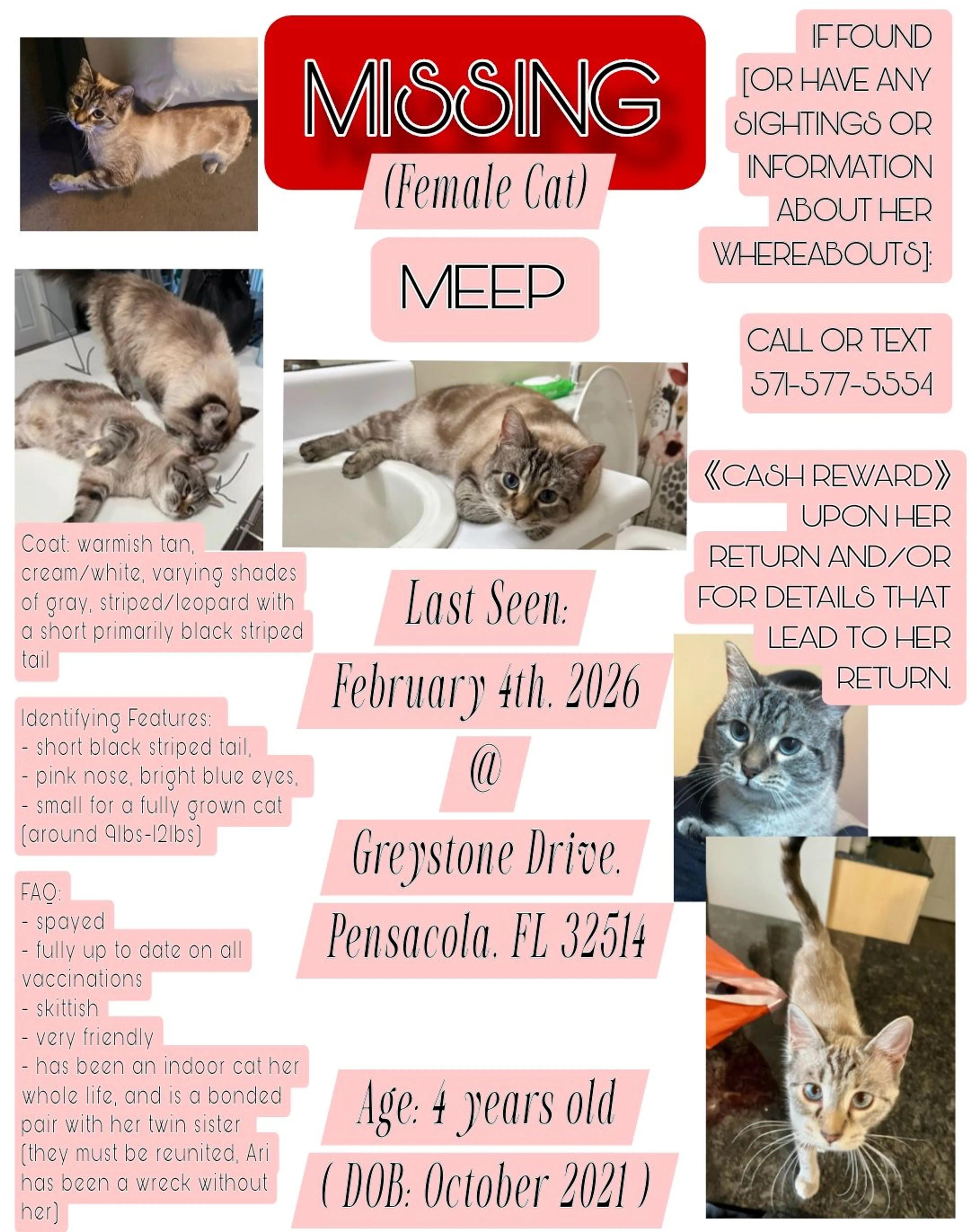 Lost pet