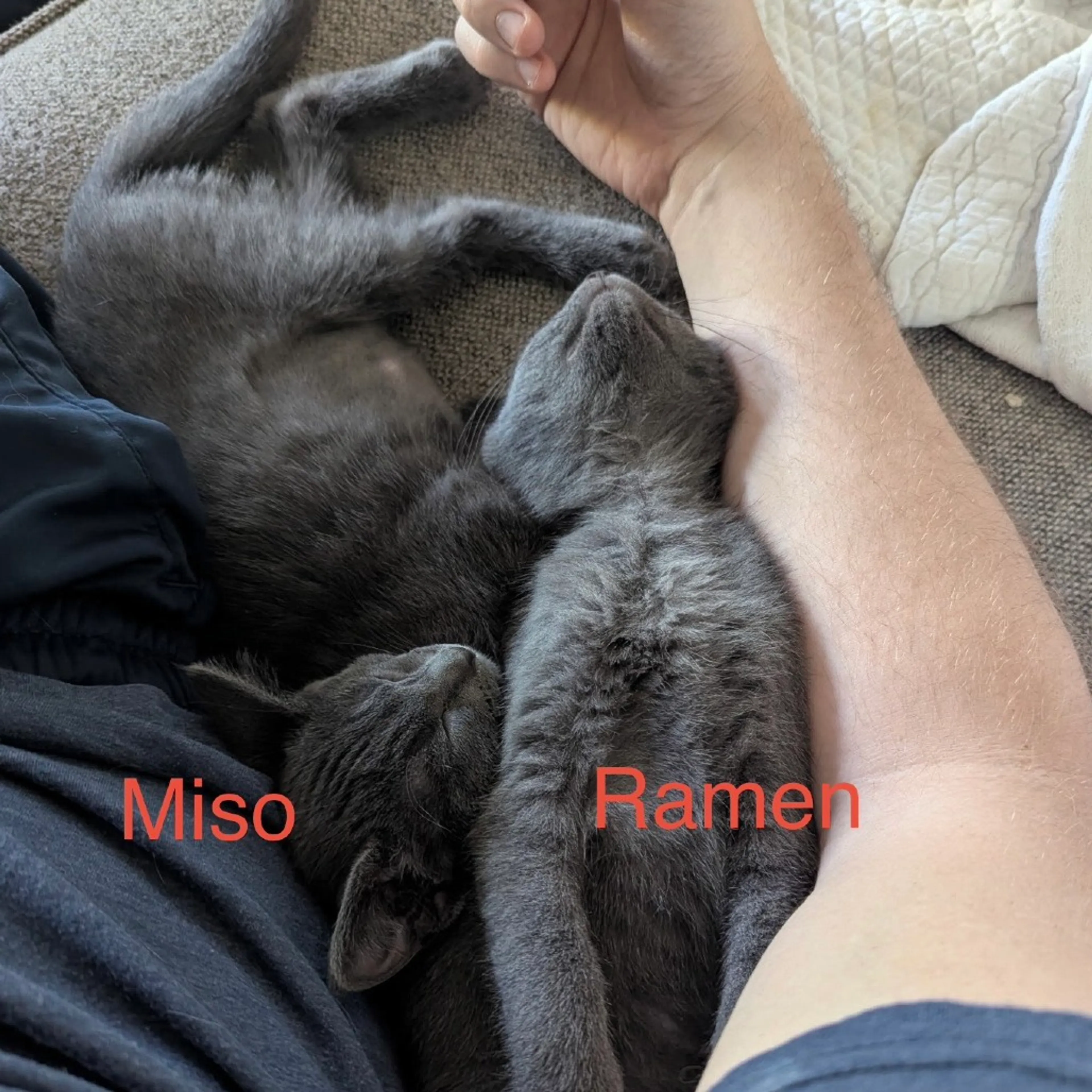 -1