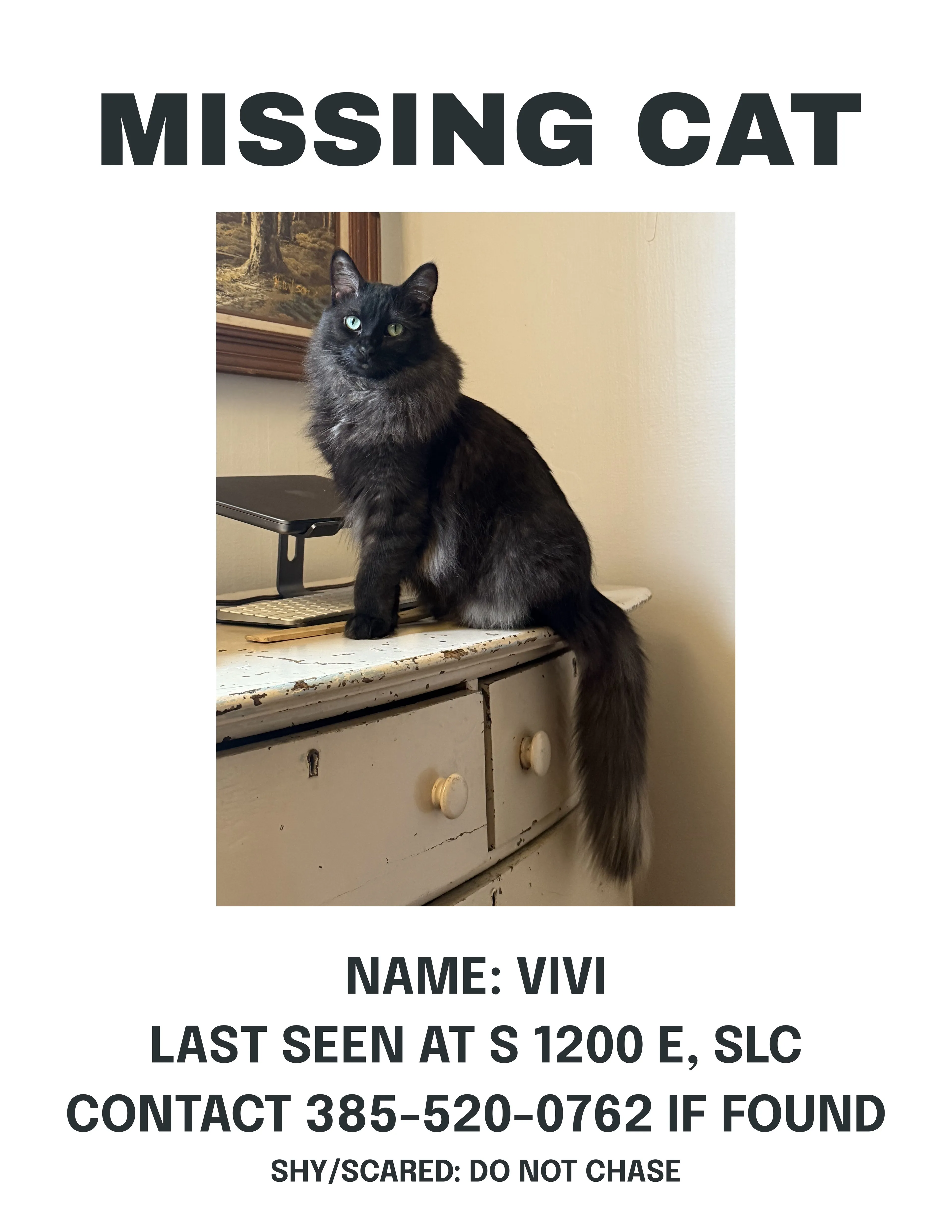 Lost pet