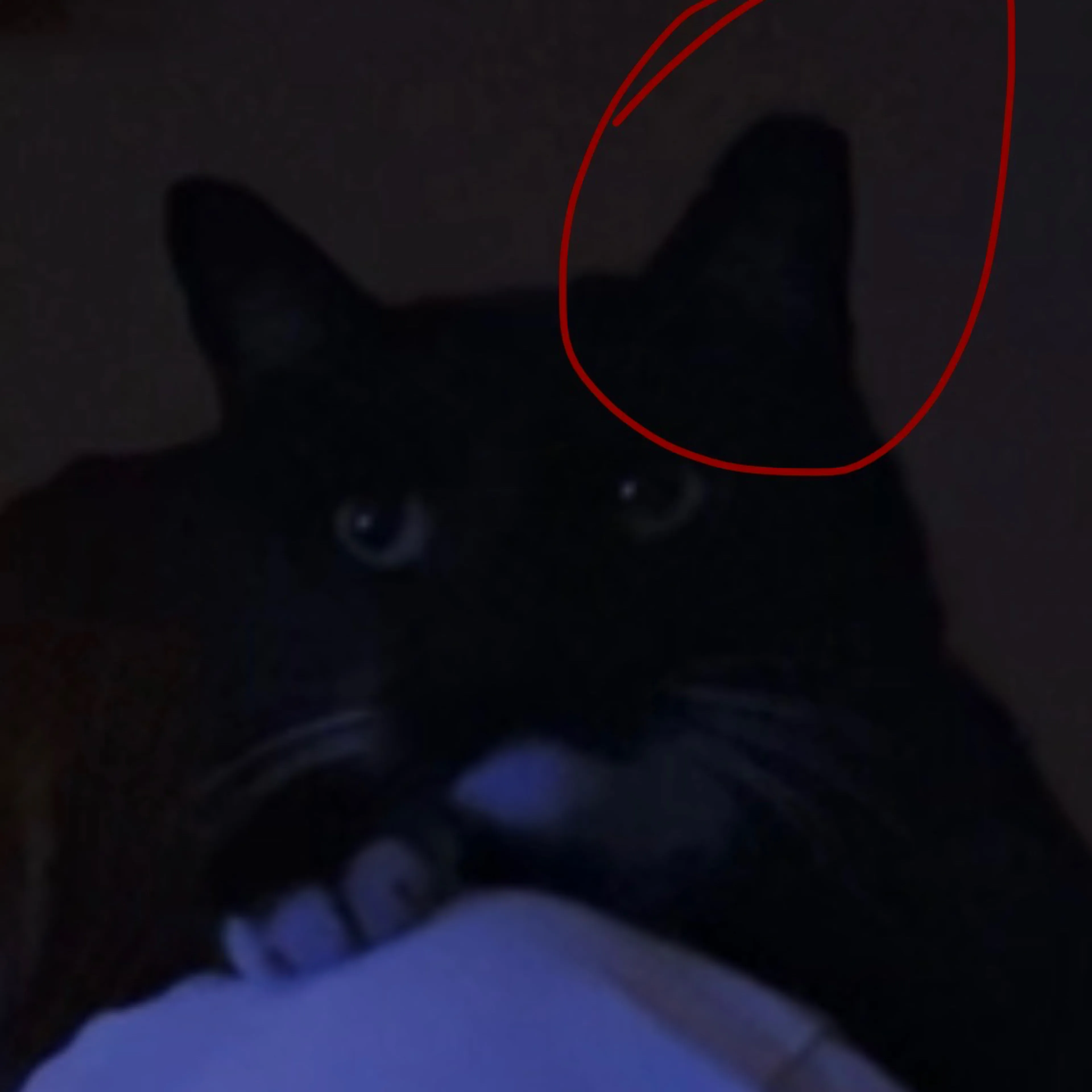 -3