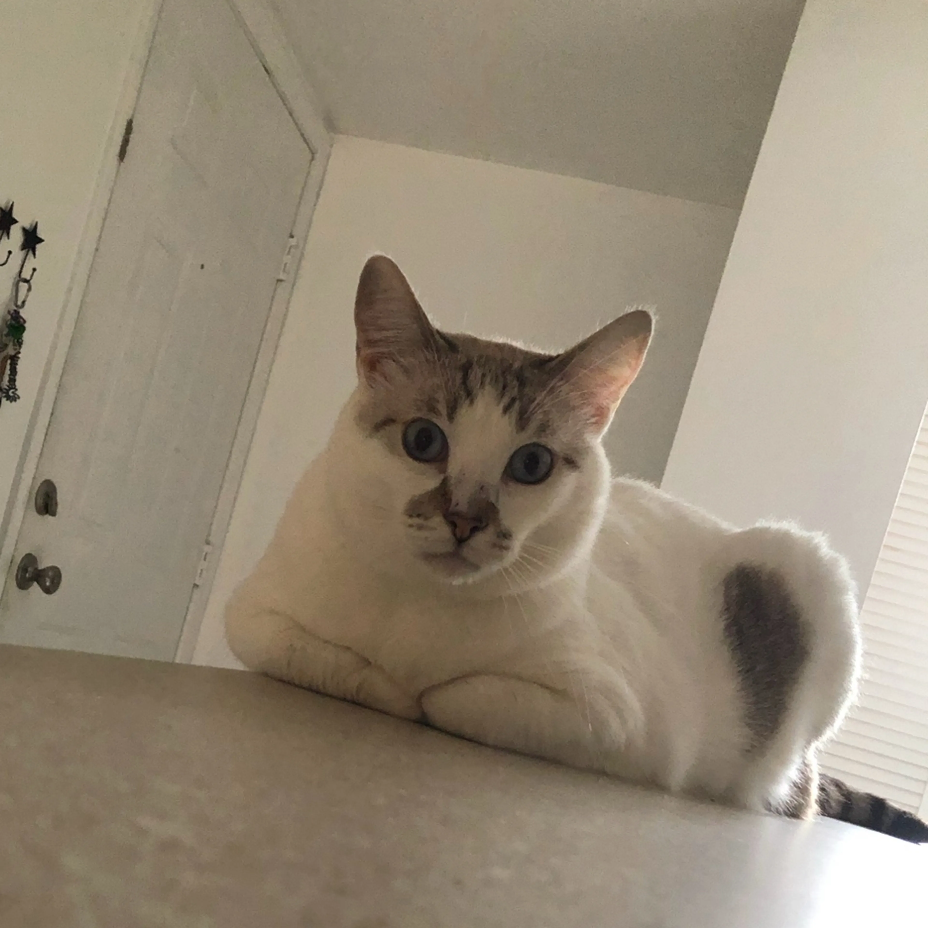 -0