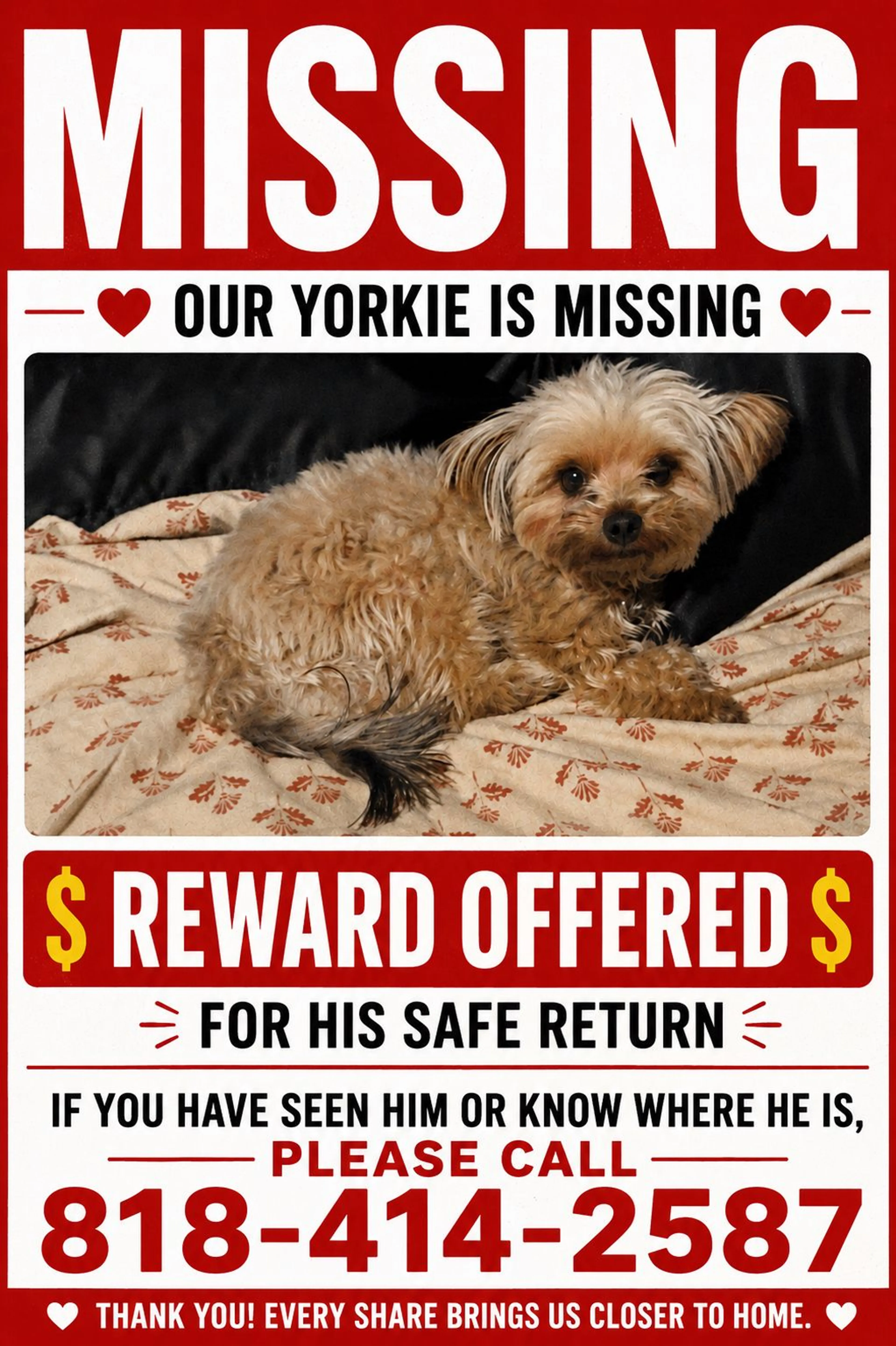 Lost pet