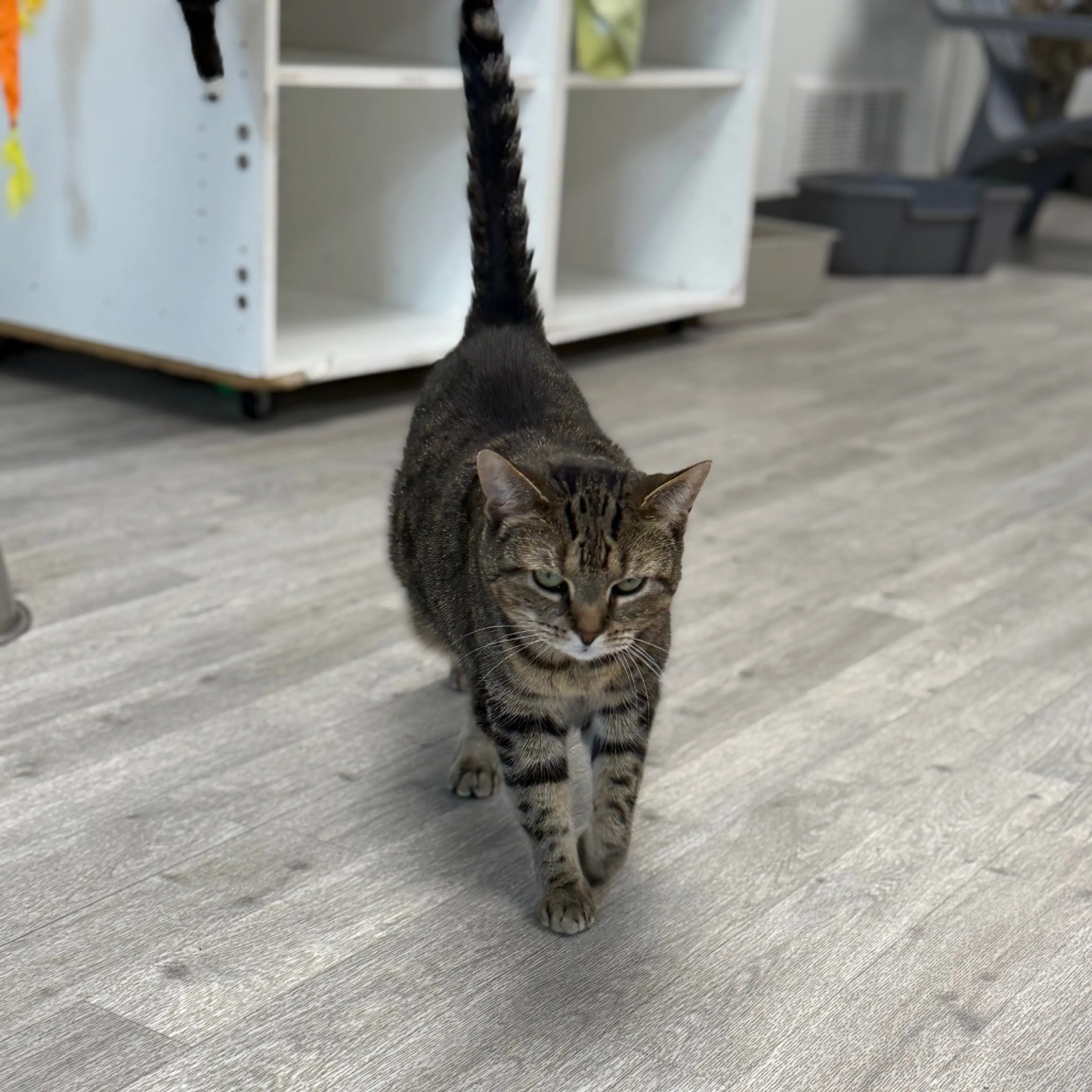 -2