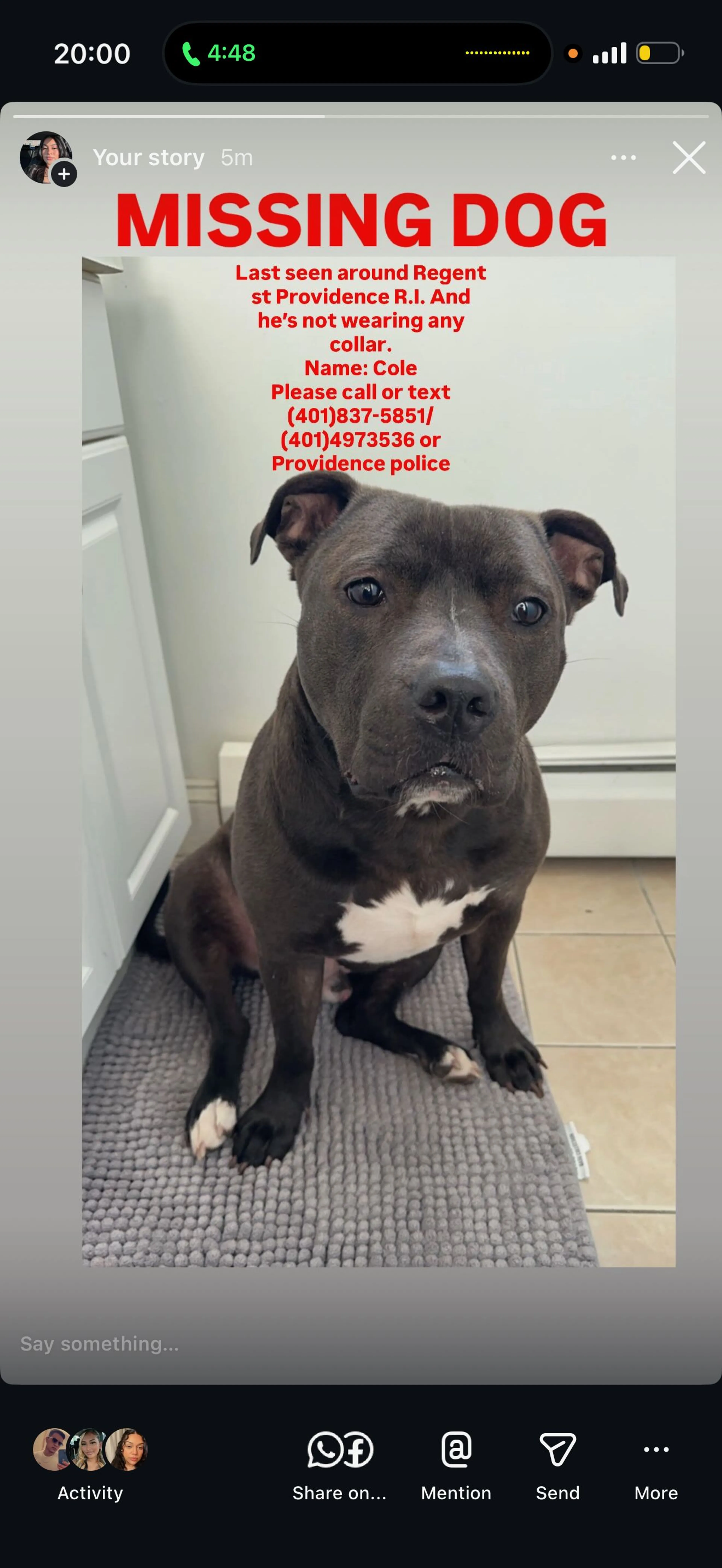 Lost pet