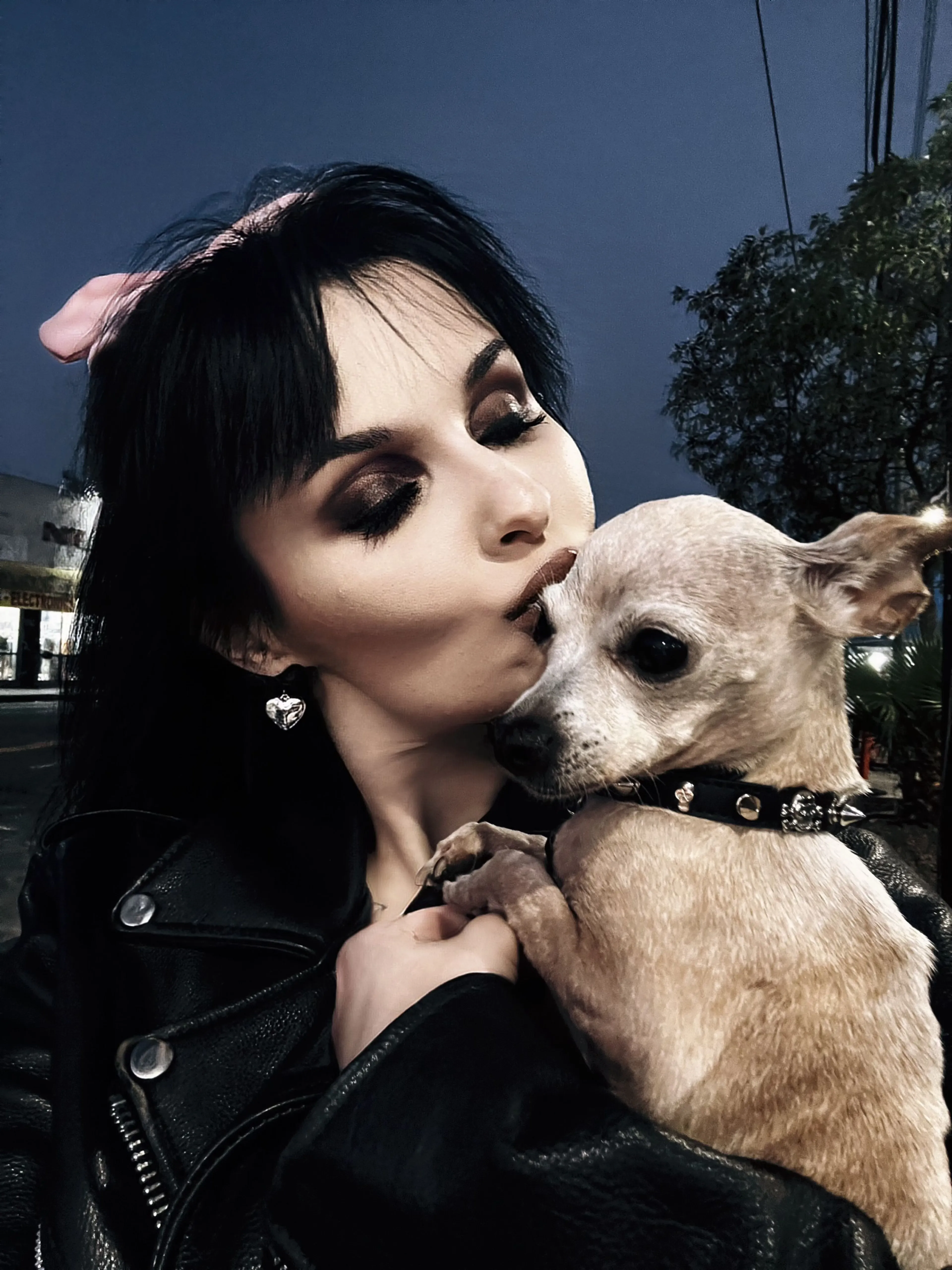 Lost pet-3