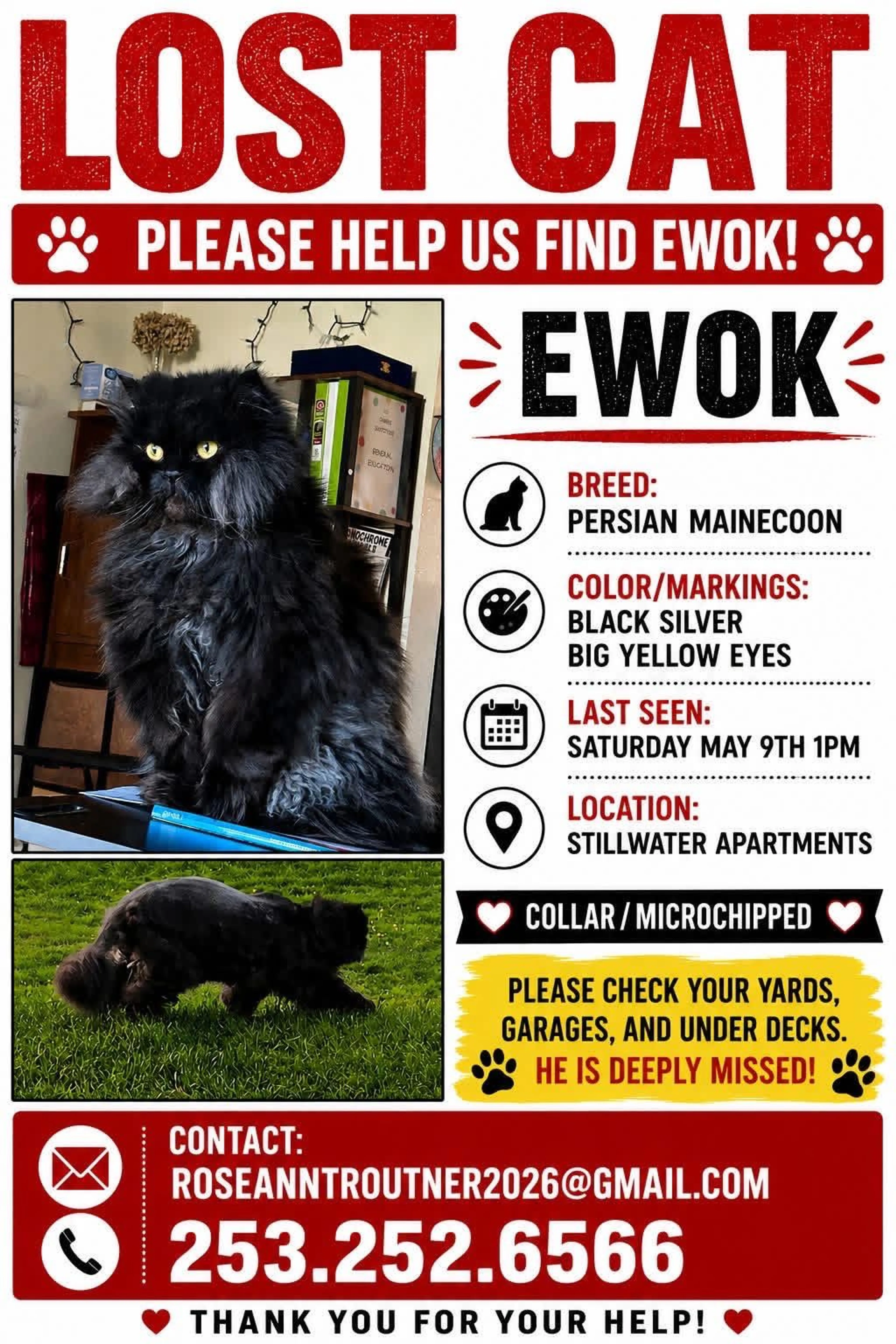 Lost pet