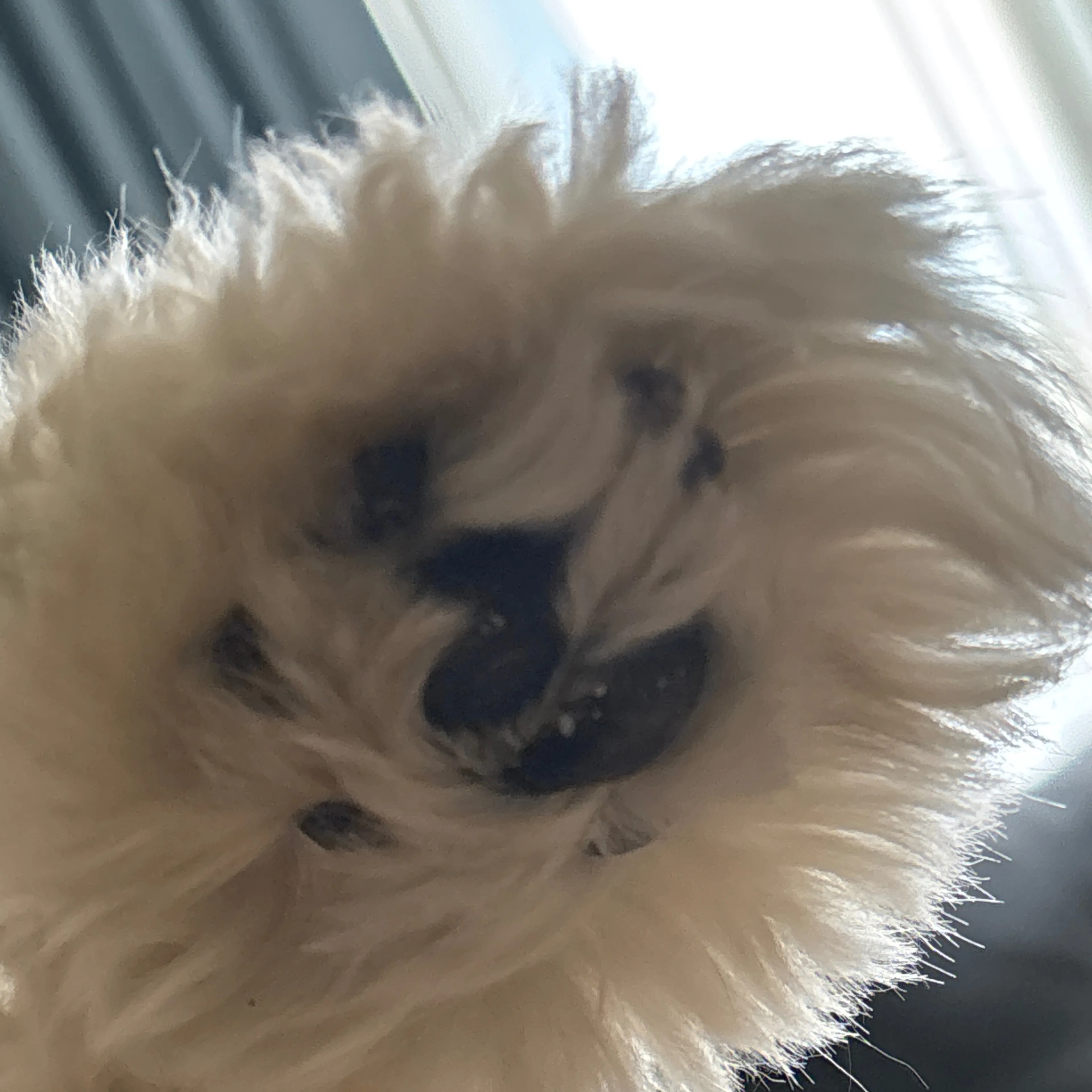 -3