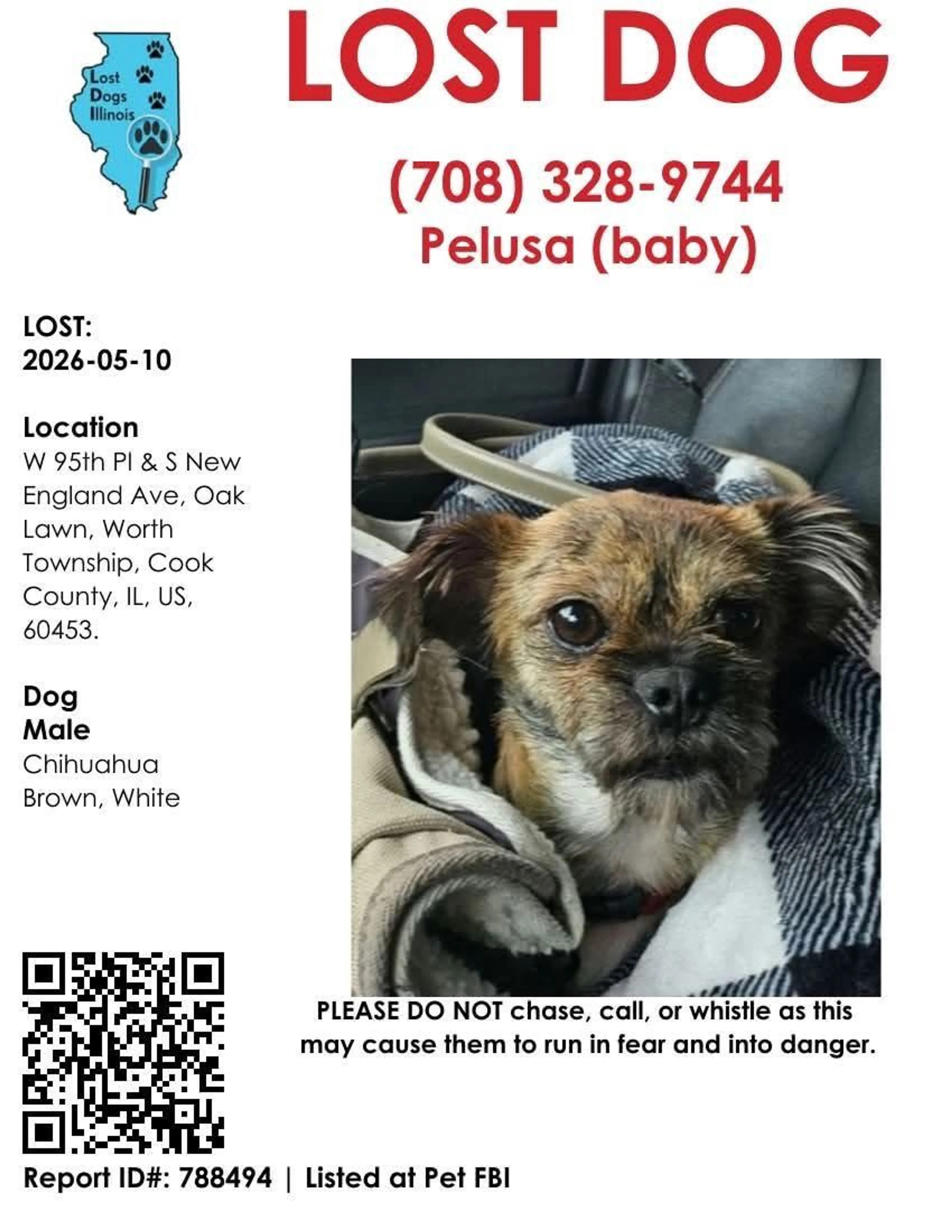 Lost pet