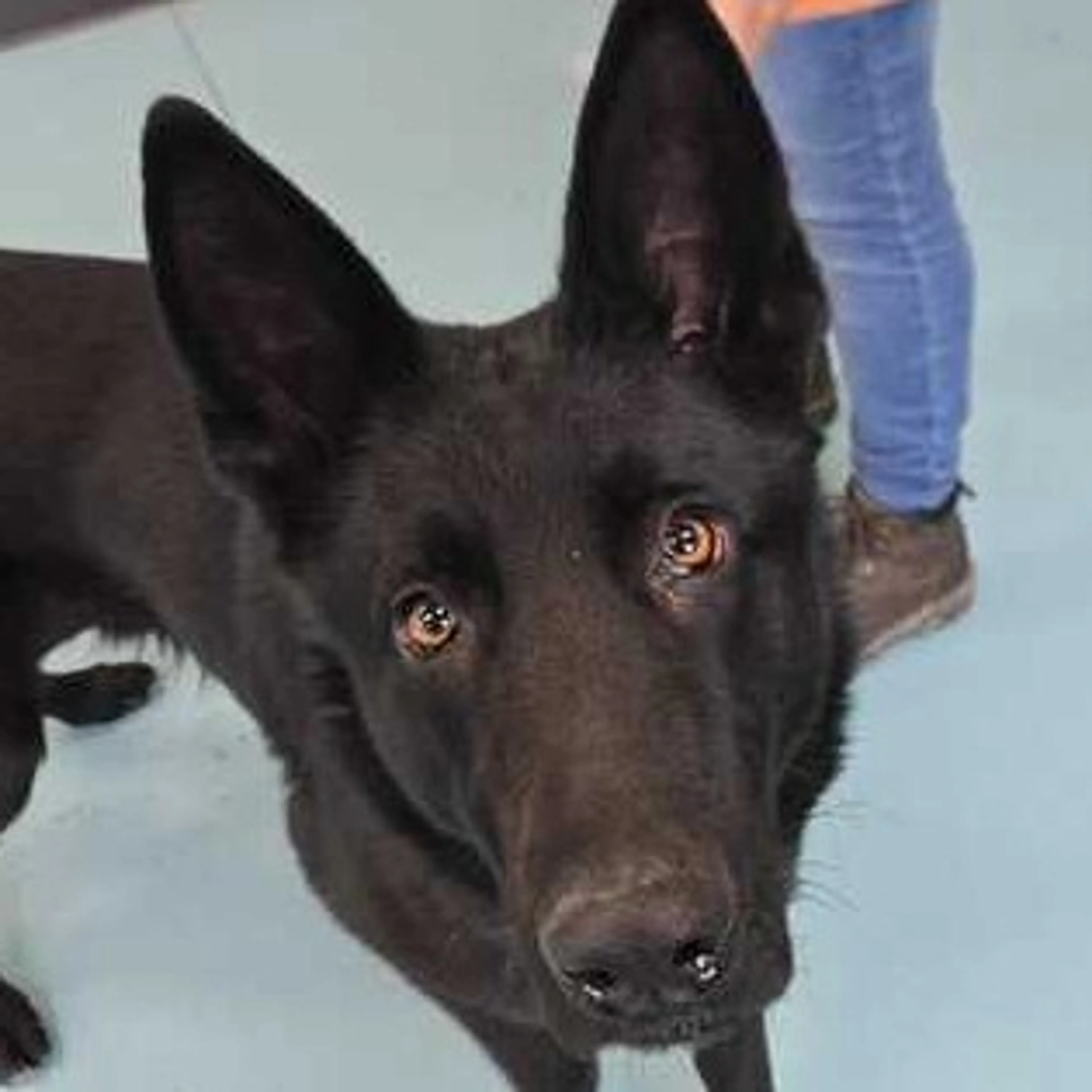-3