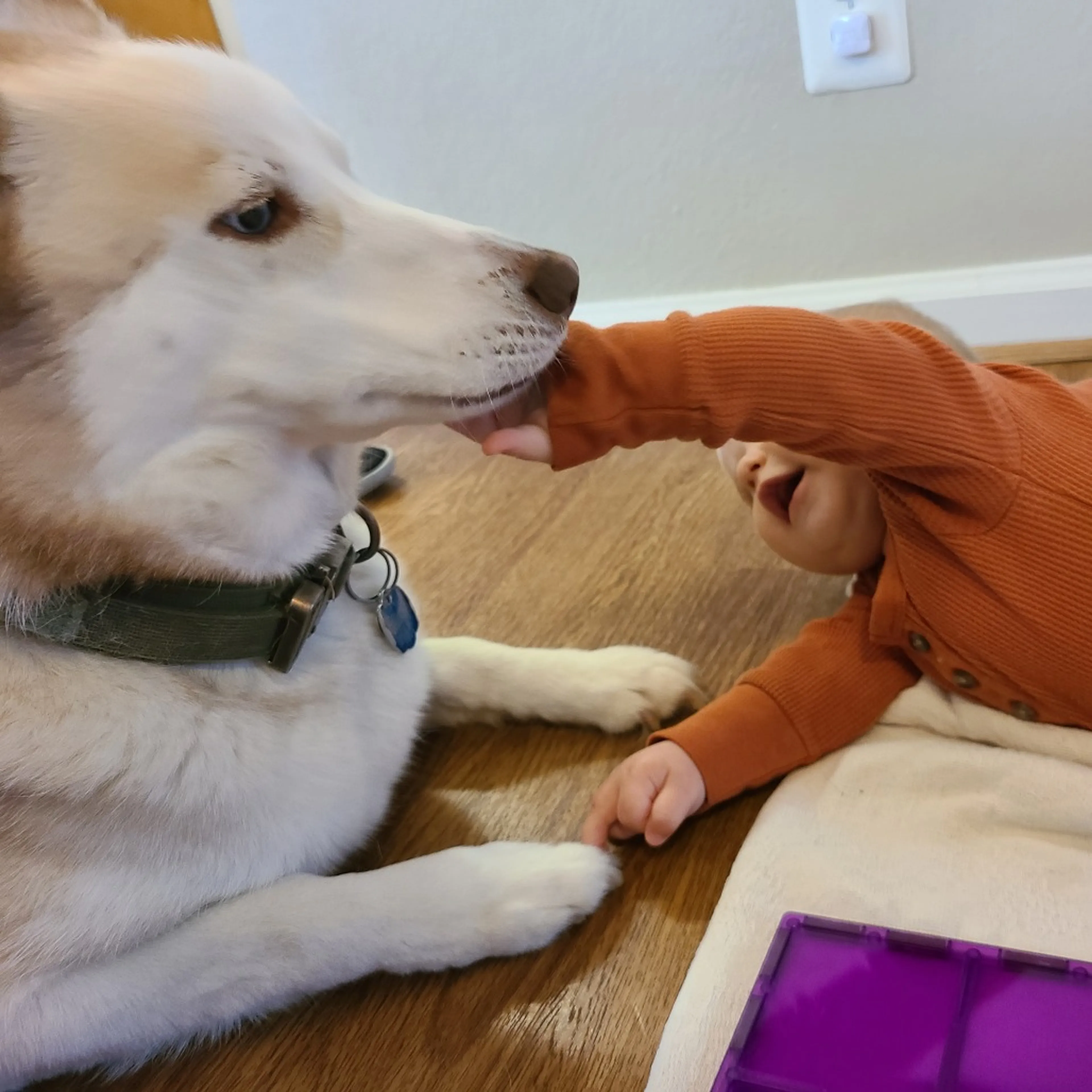 -2