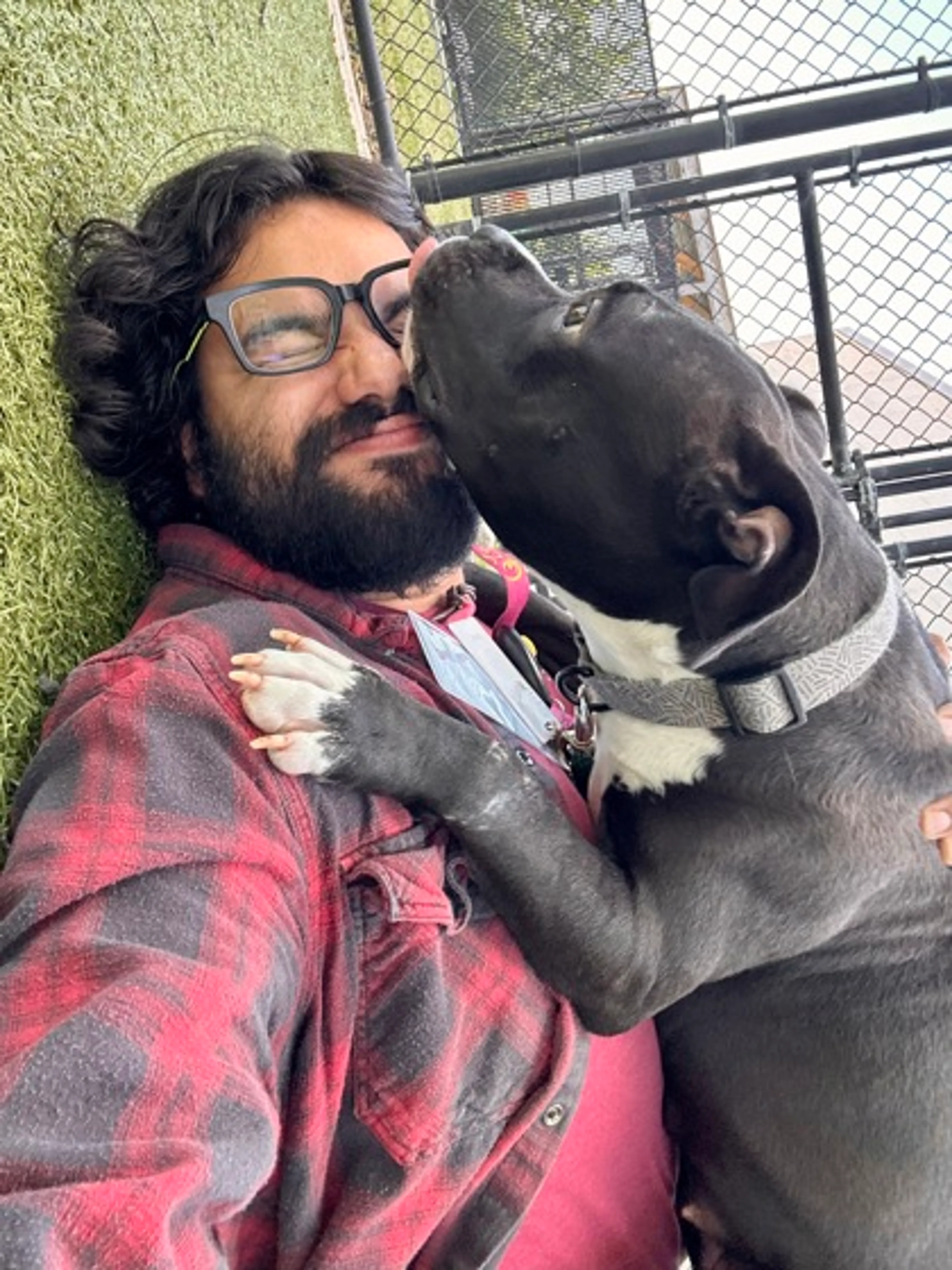 Found pet-2