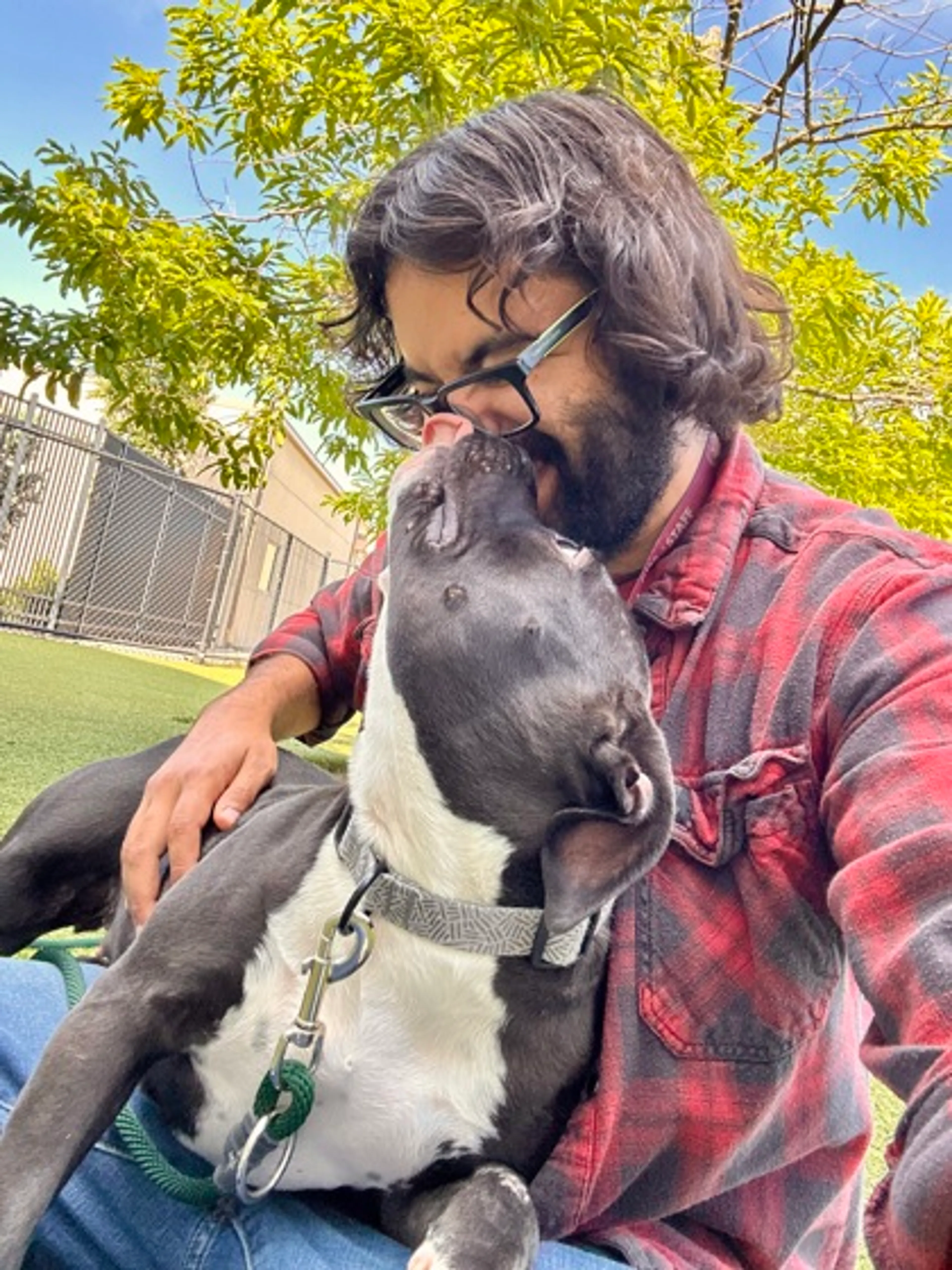 Found pet-1