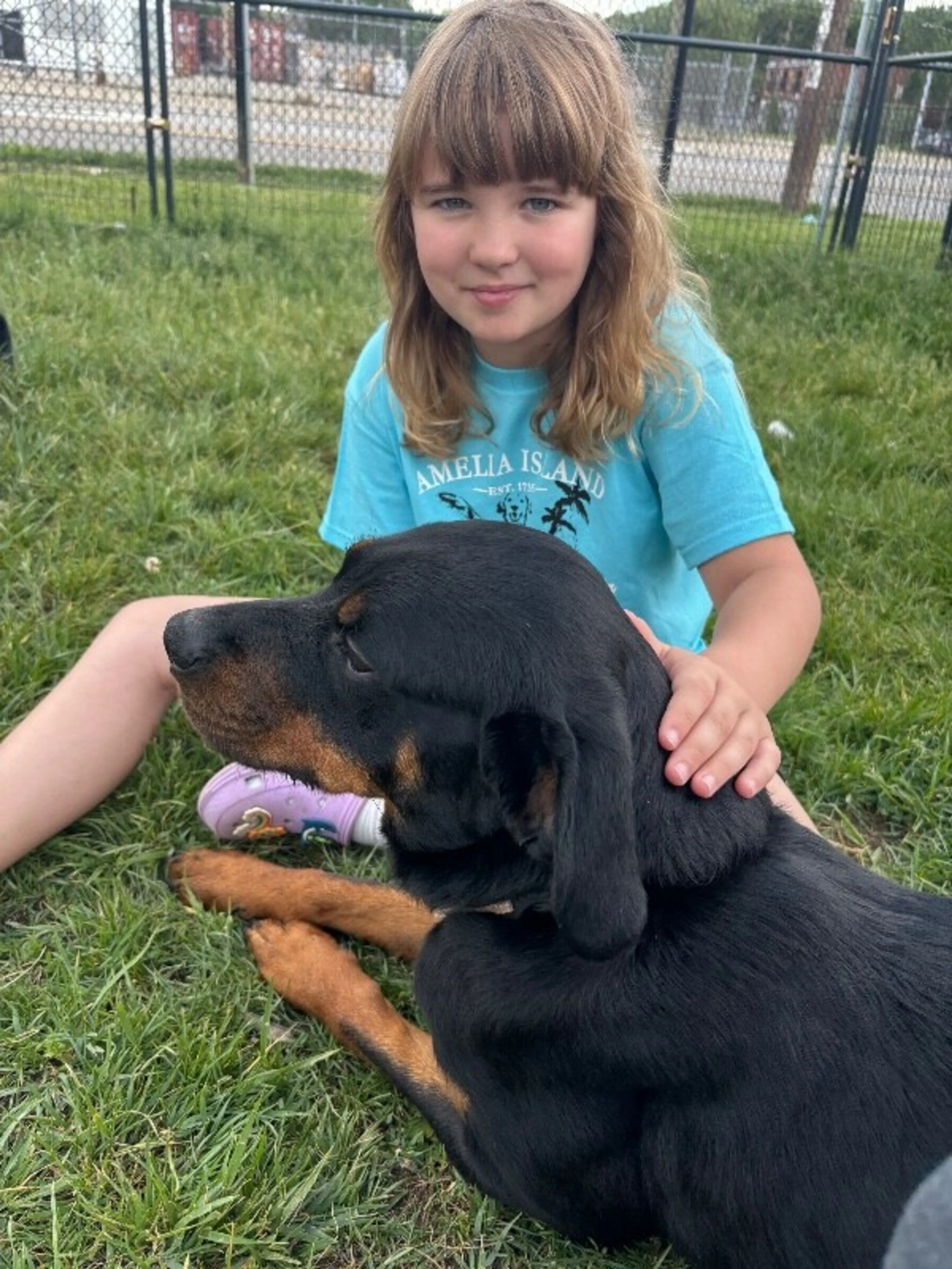 Found pet-4