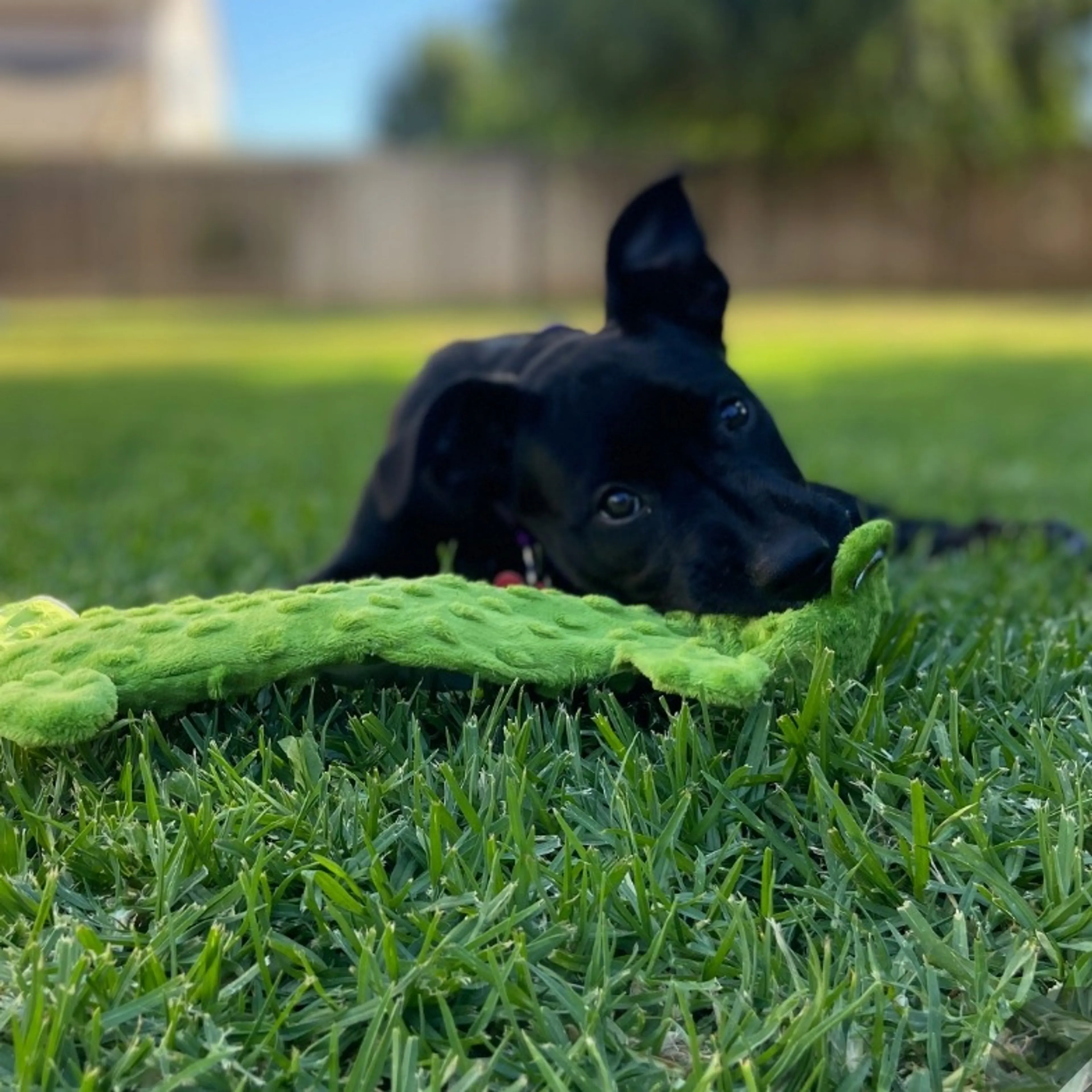 -10