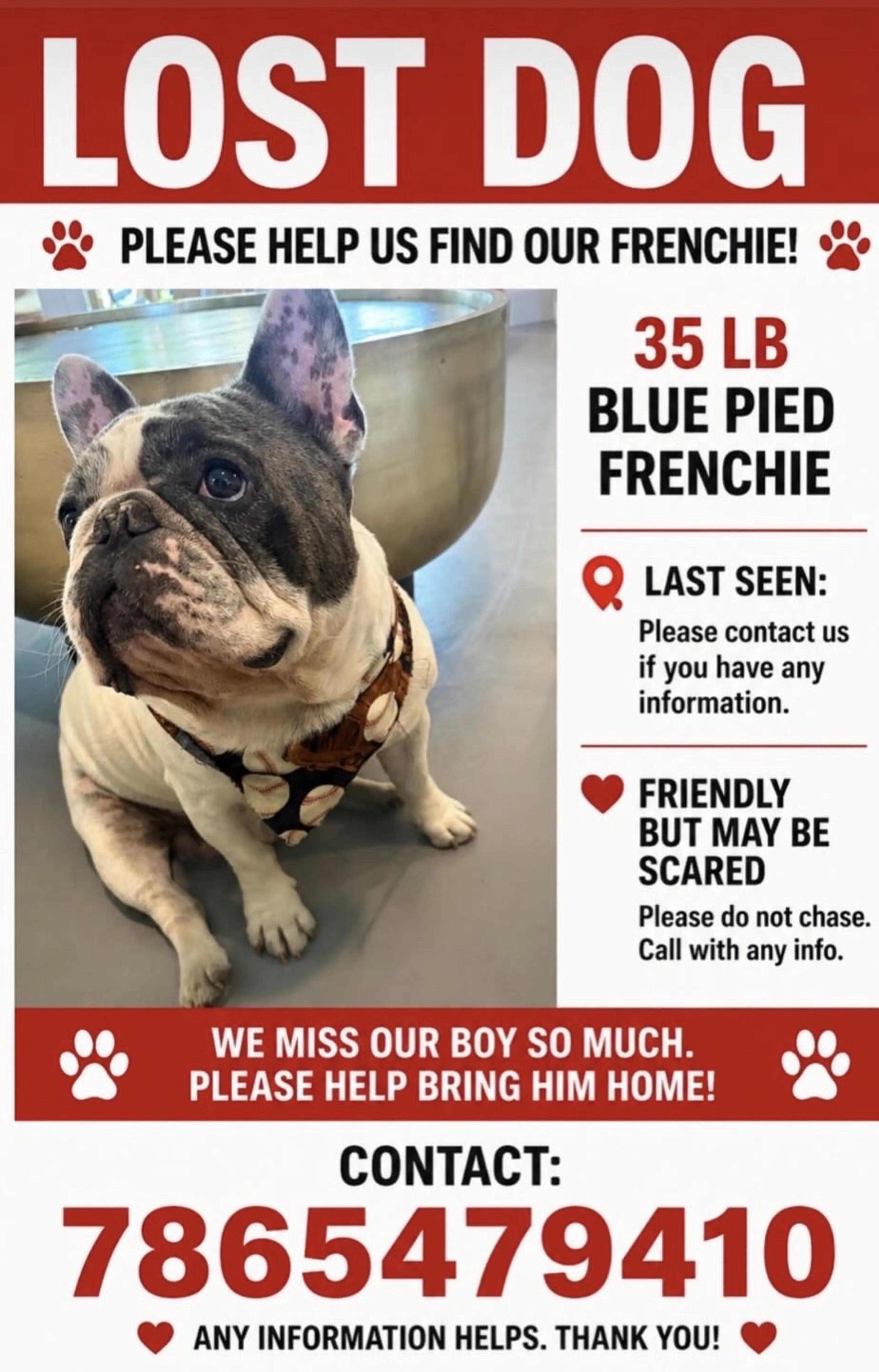 Lost pet
