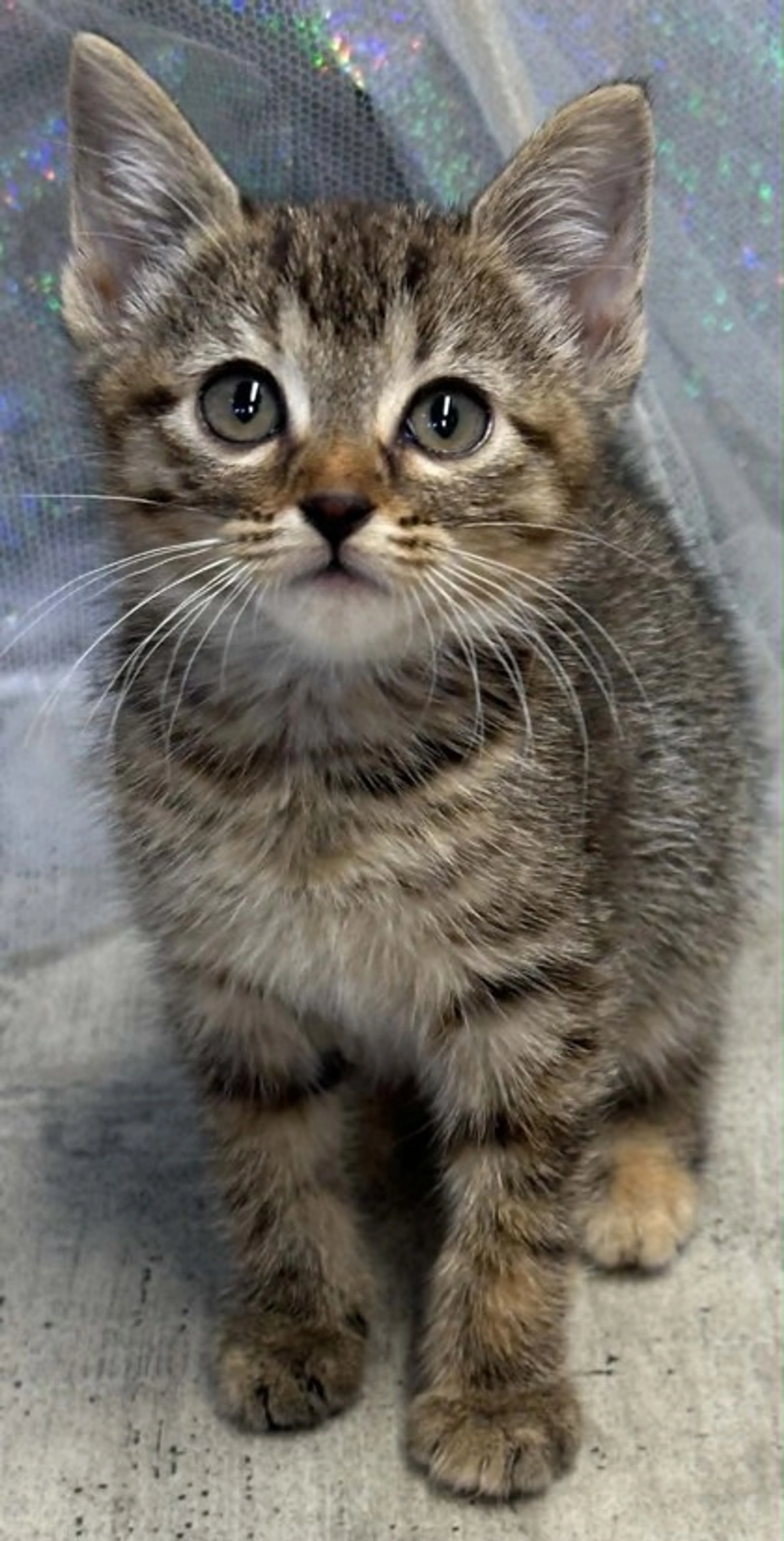 -0