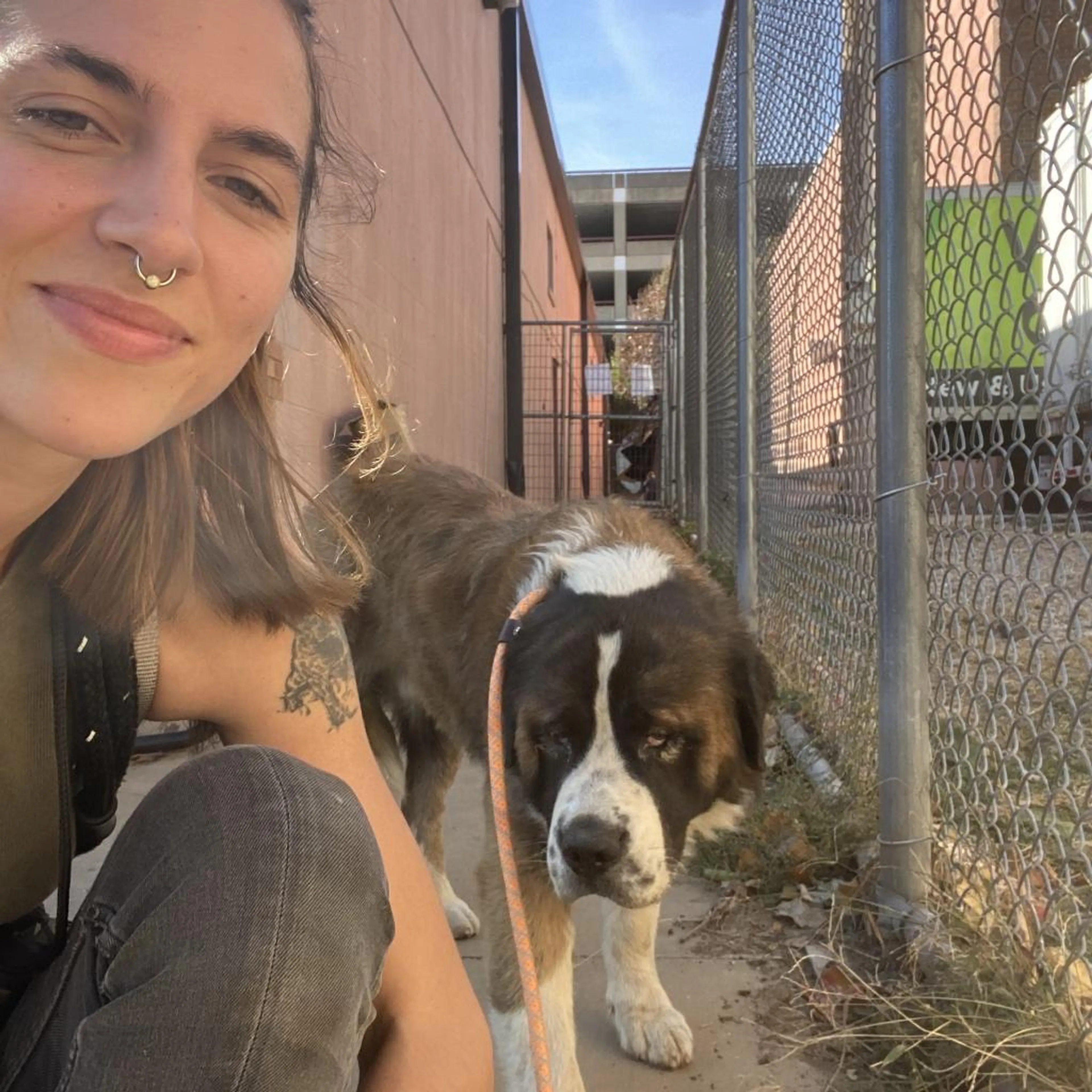 Found pet-3
