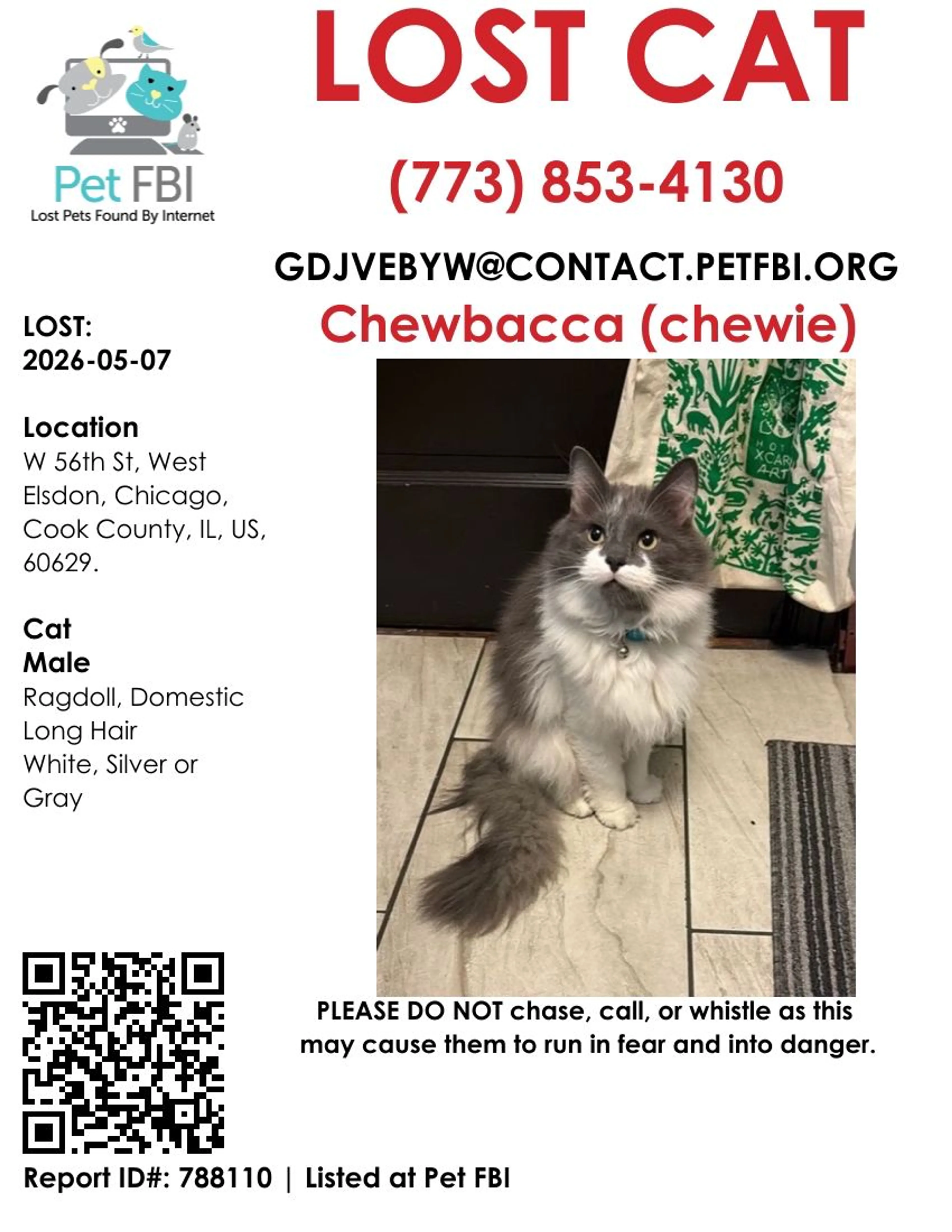 Lost pet