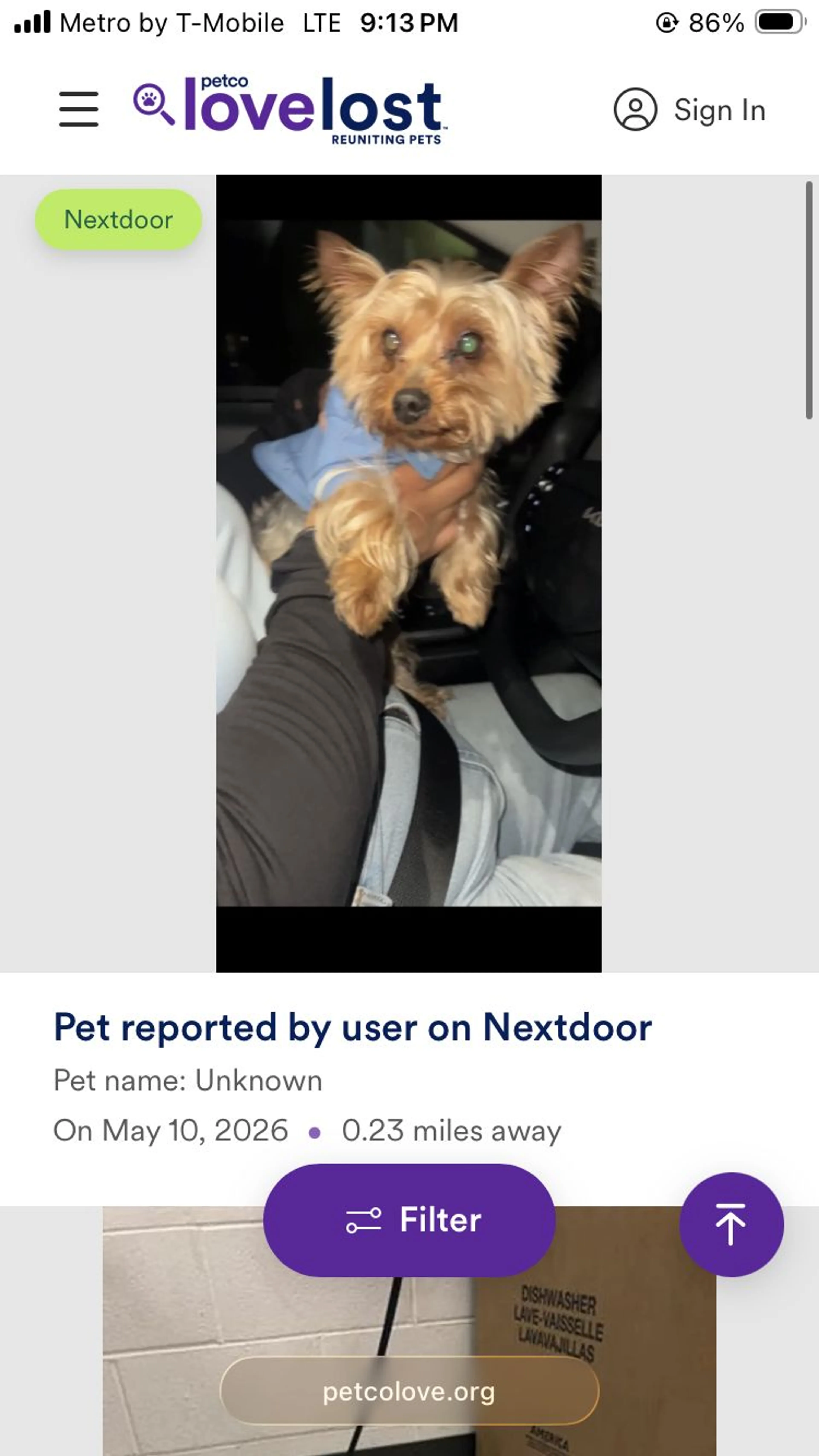 Lost pet-0