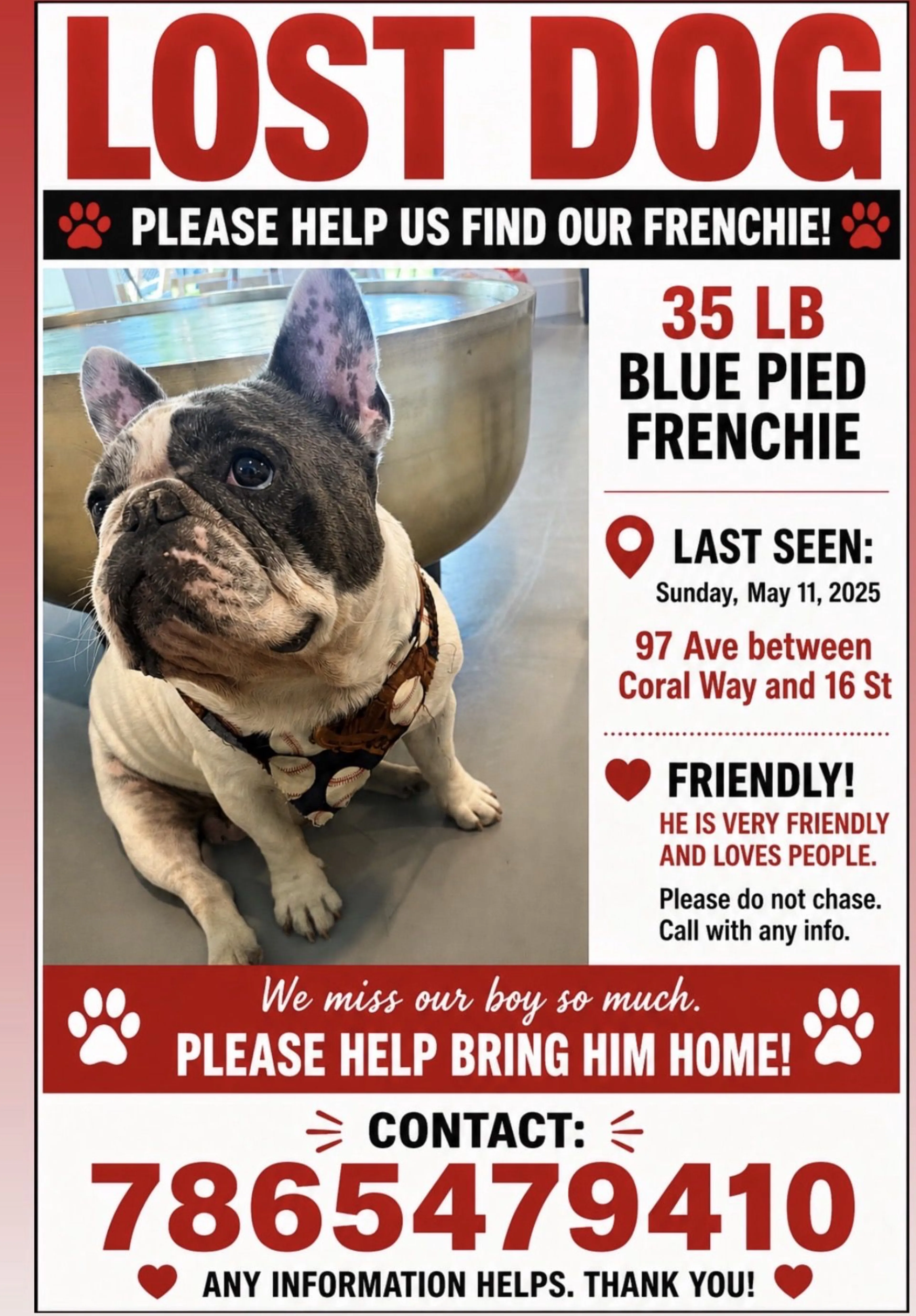 Lost pet