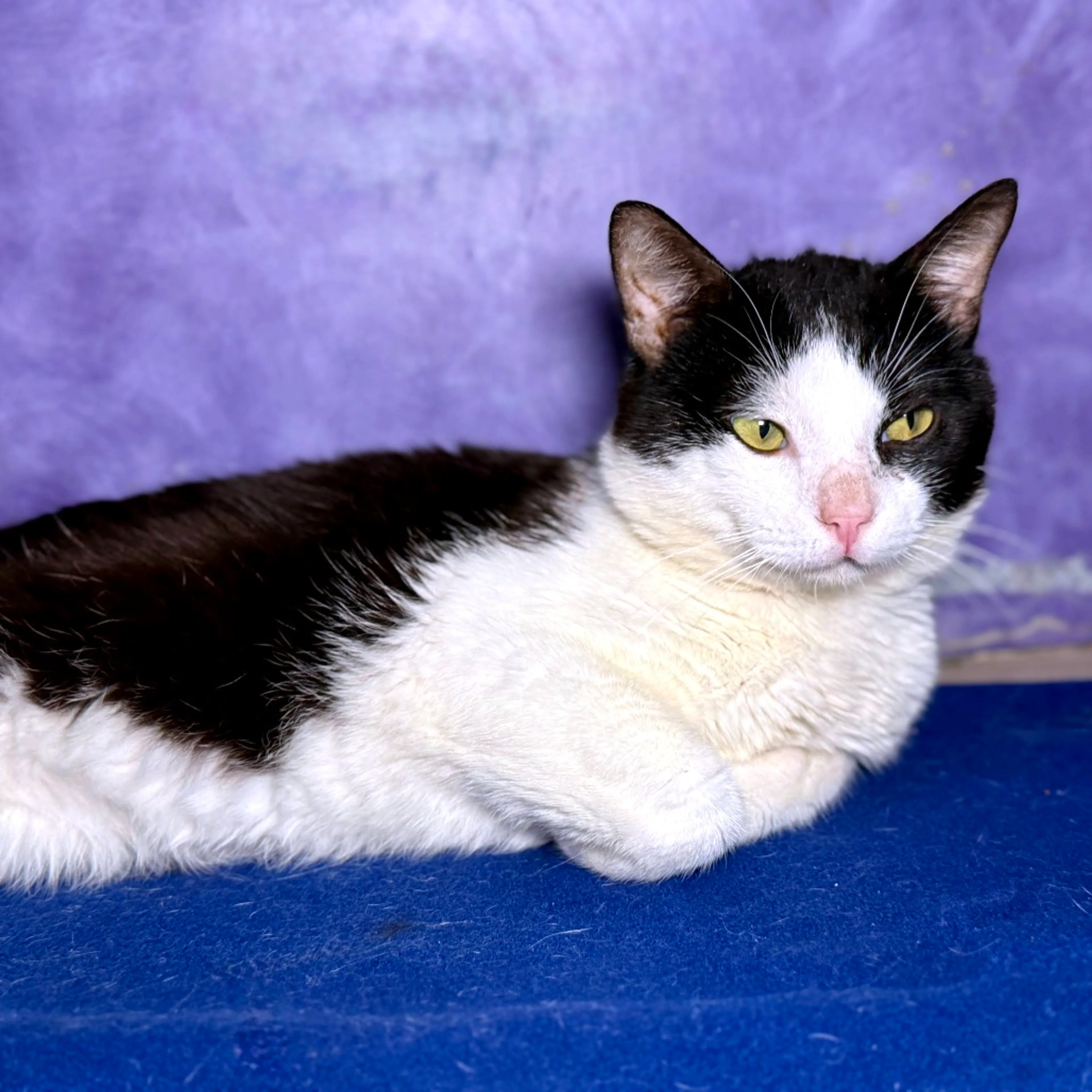 -3