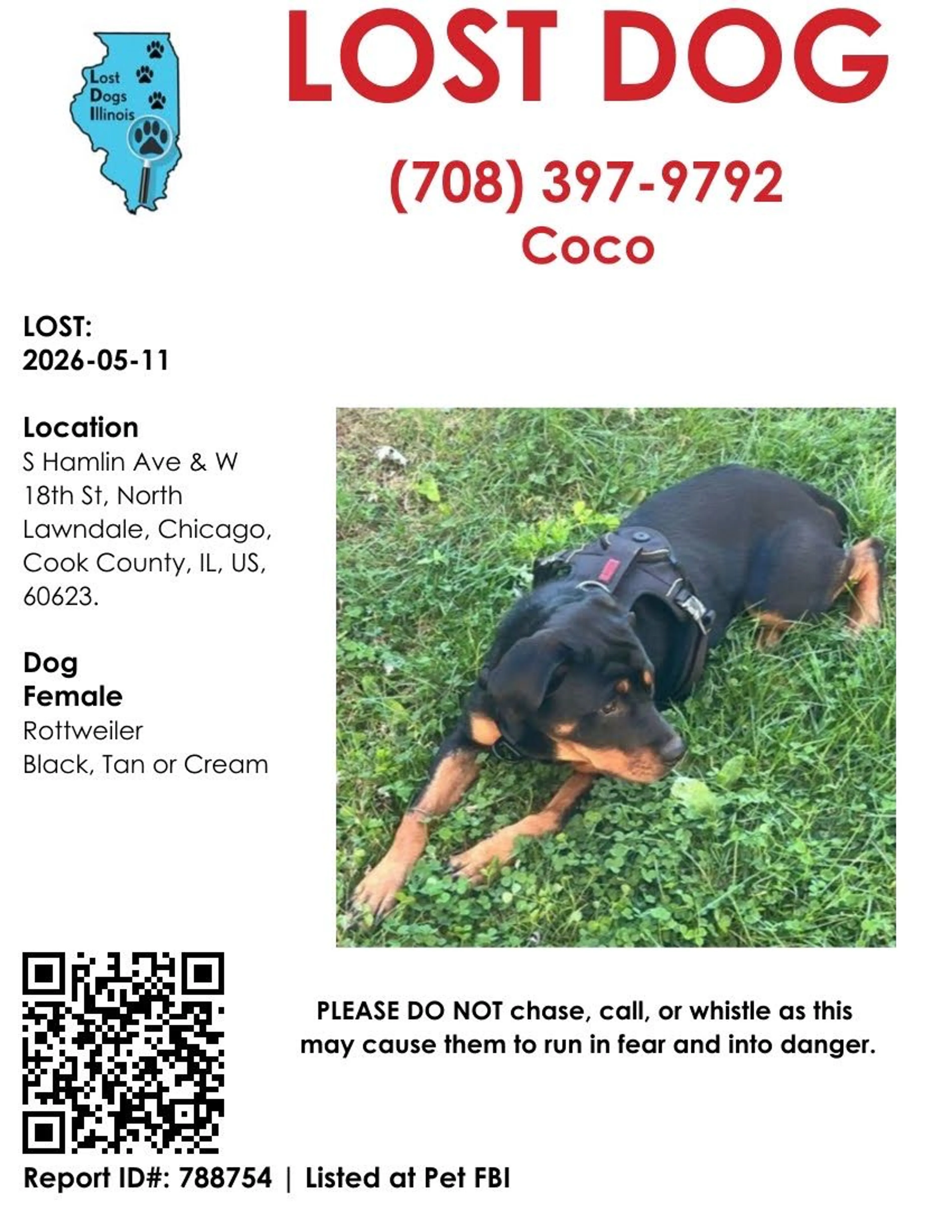 Lost pet