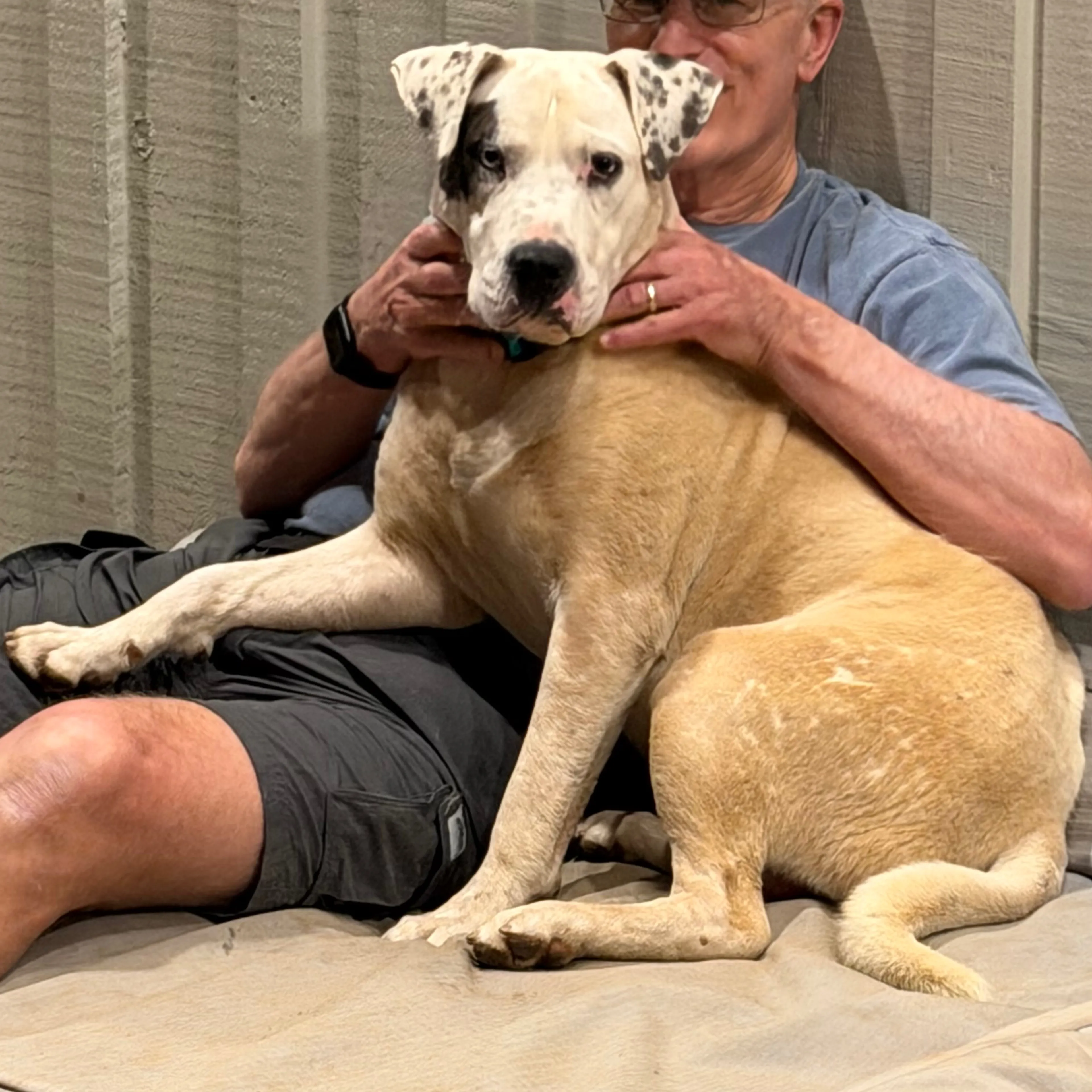Found pet-2