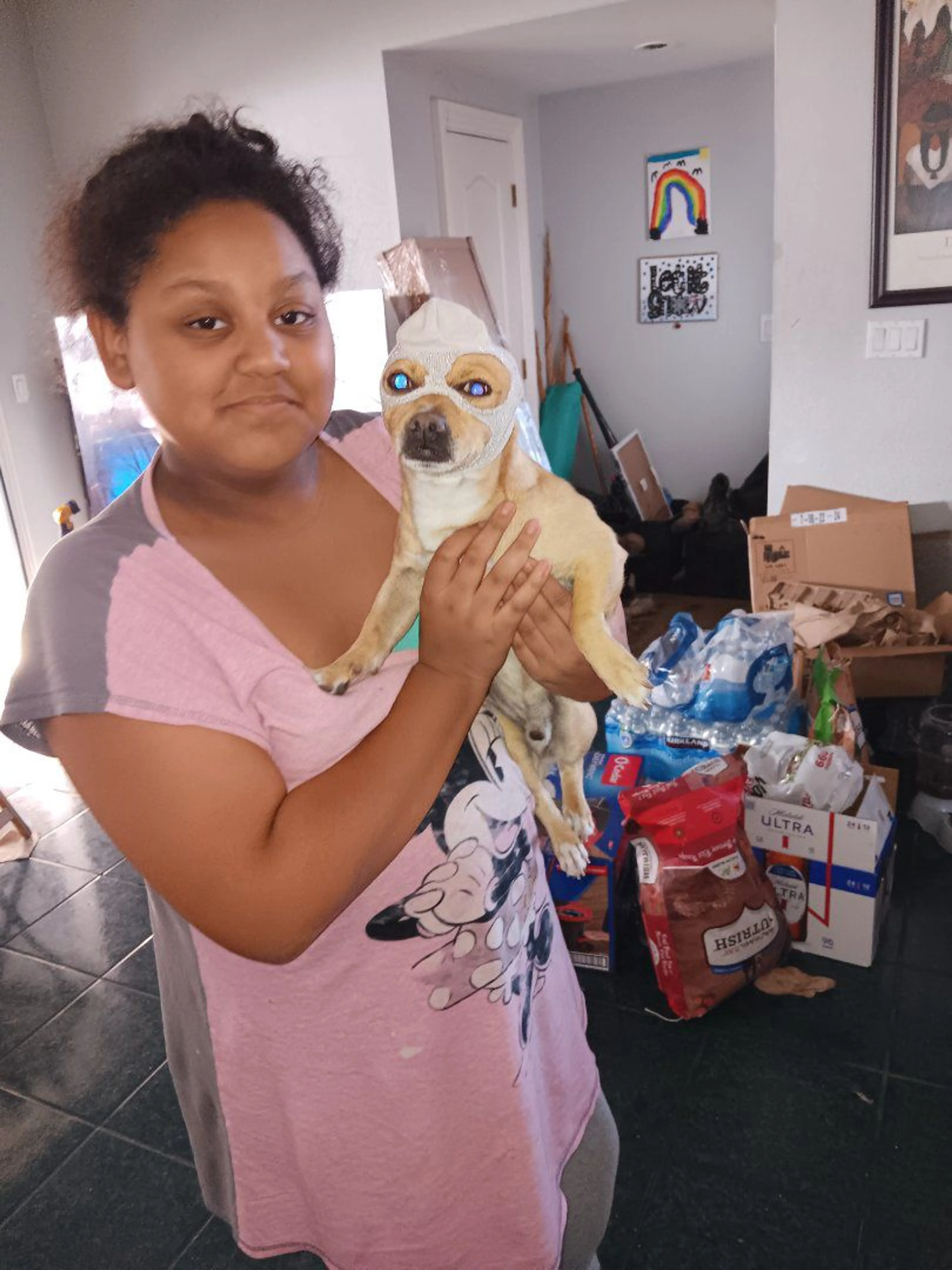 Lost pet