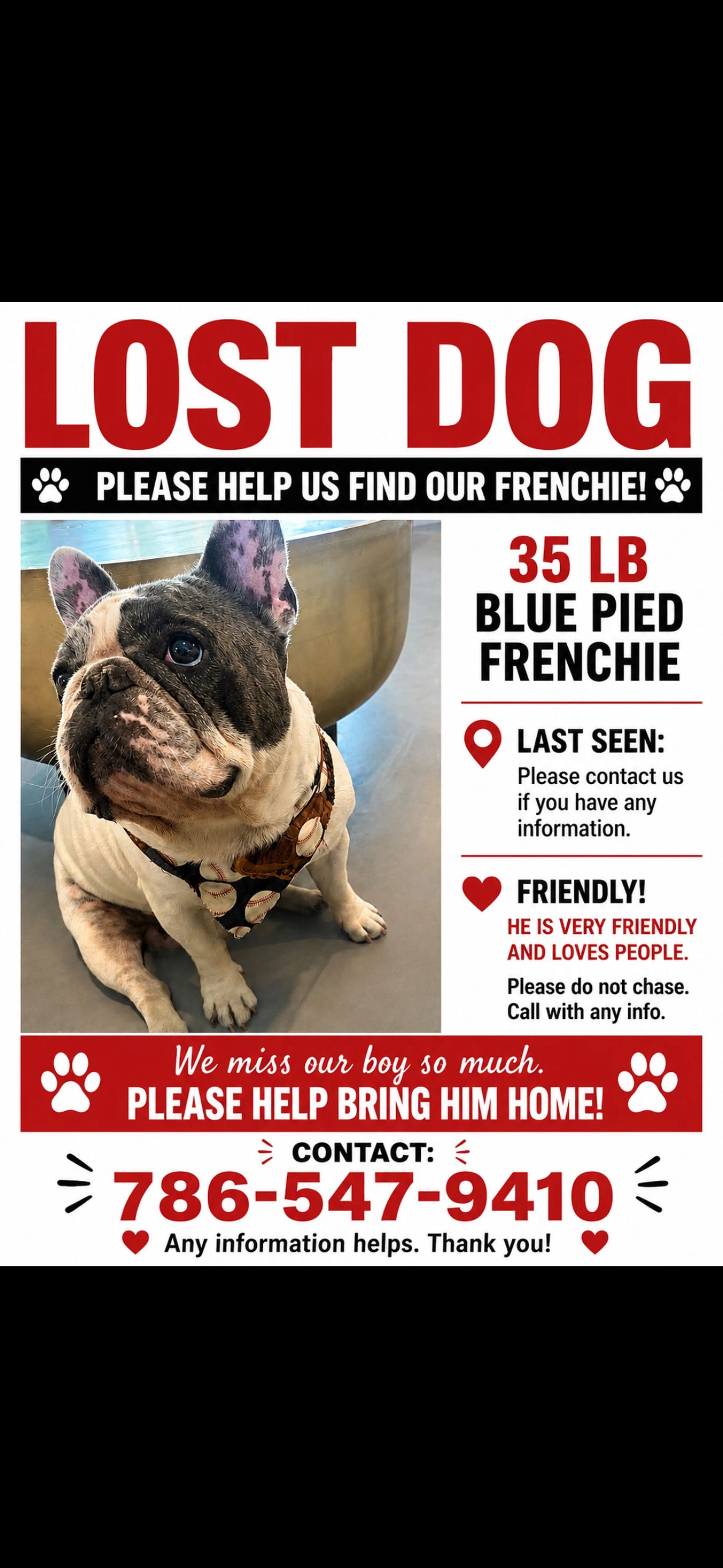 Lost pet