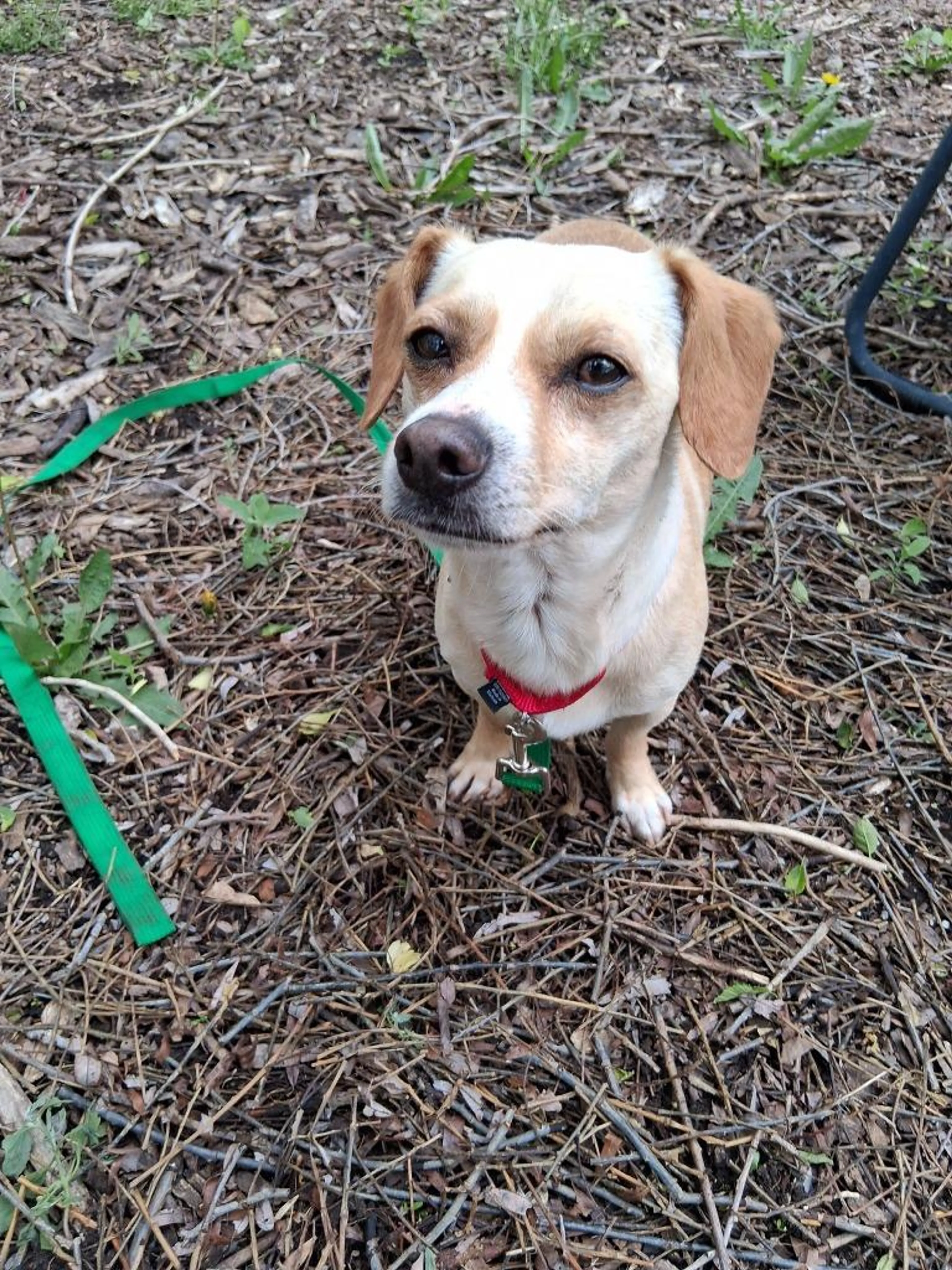 -2