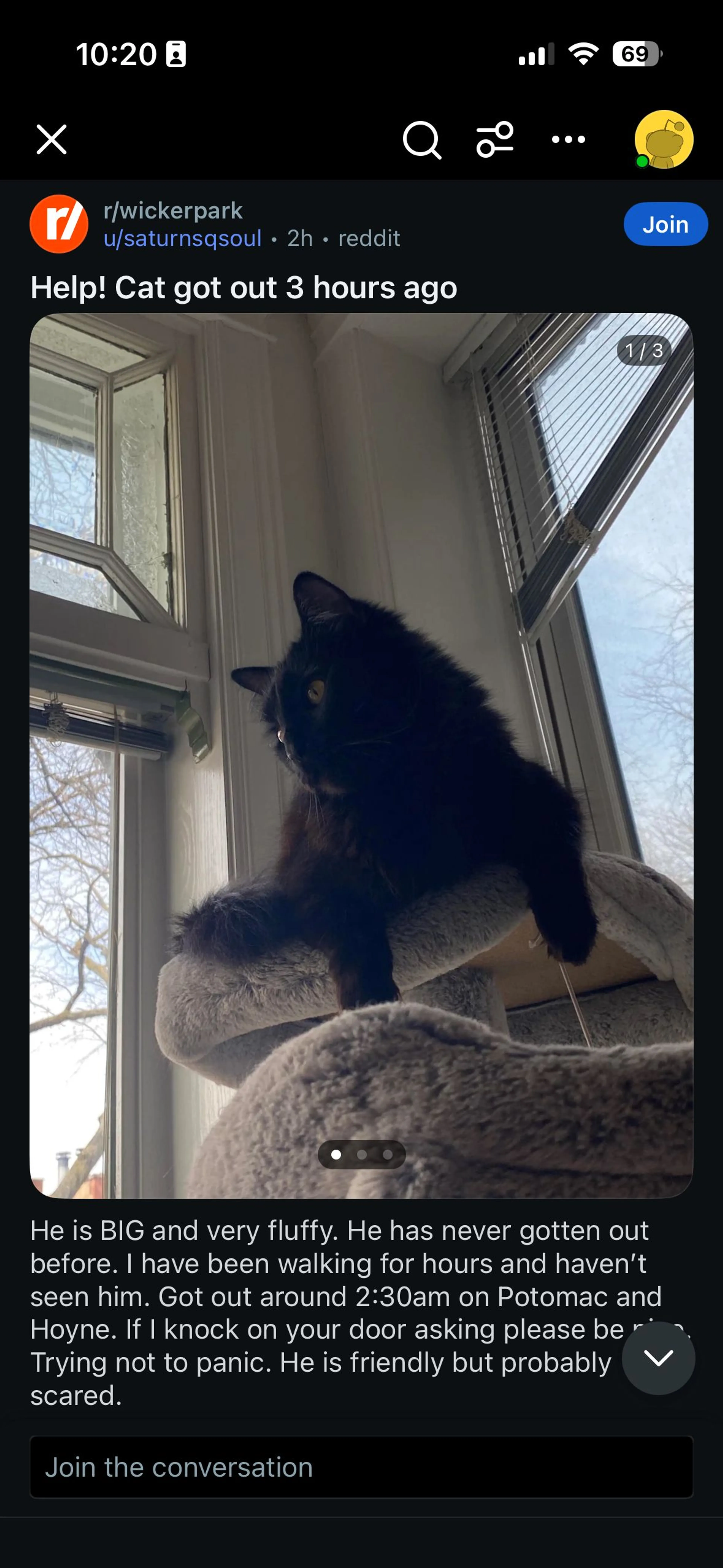 Lost pet
