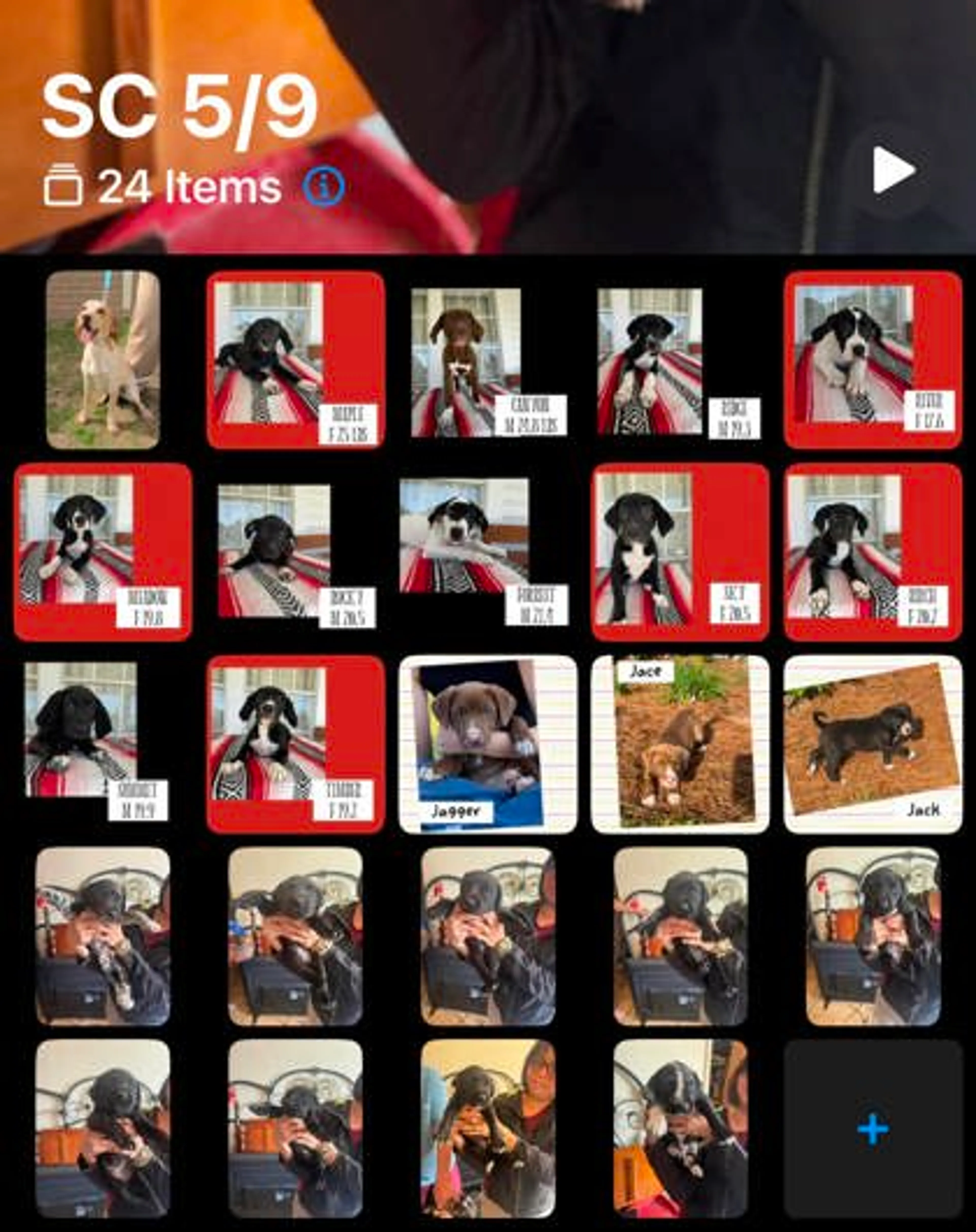 cdn image
