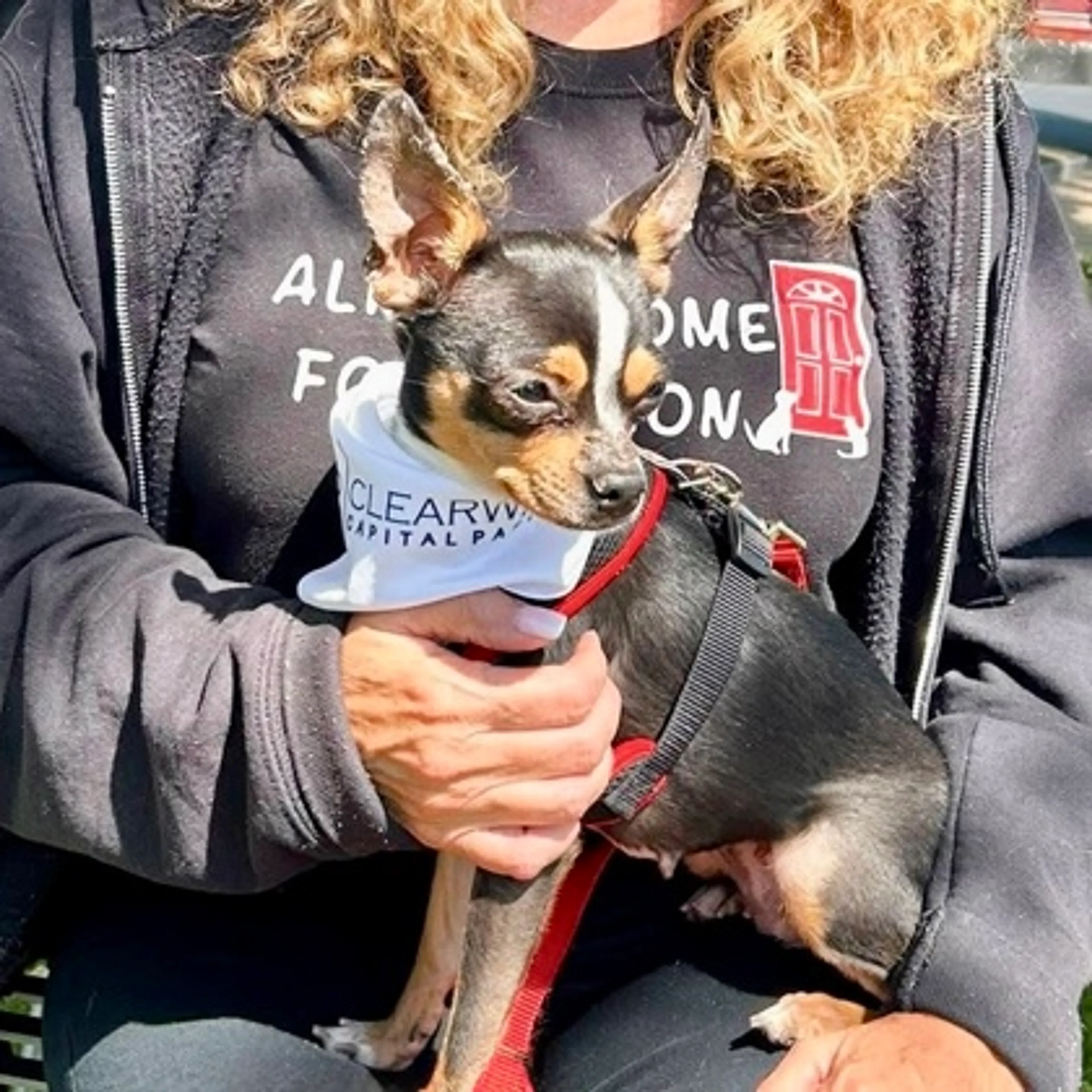 Found pet-1