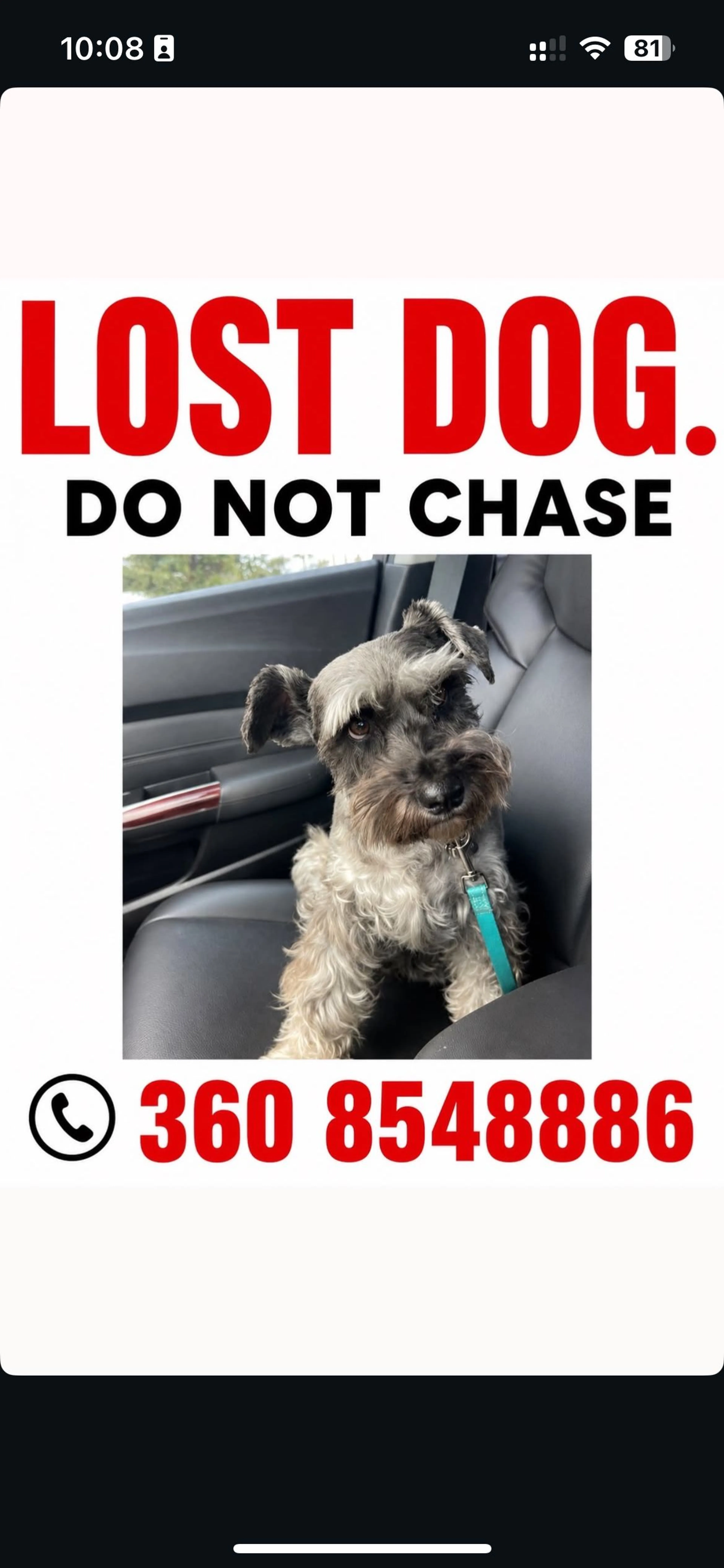 Lost pet-1