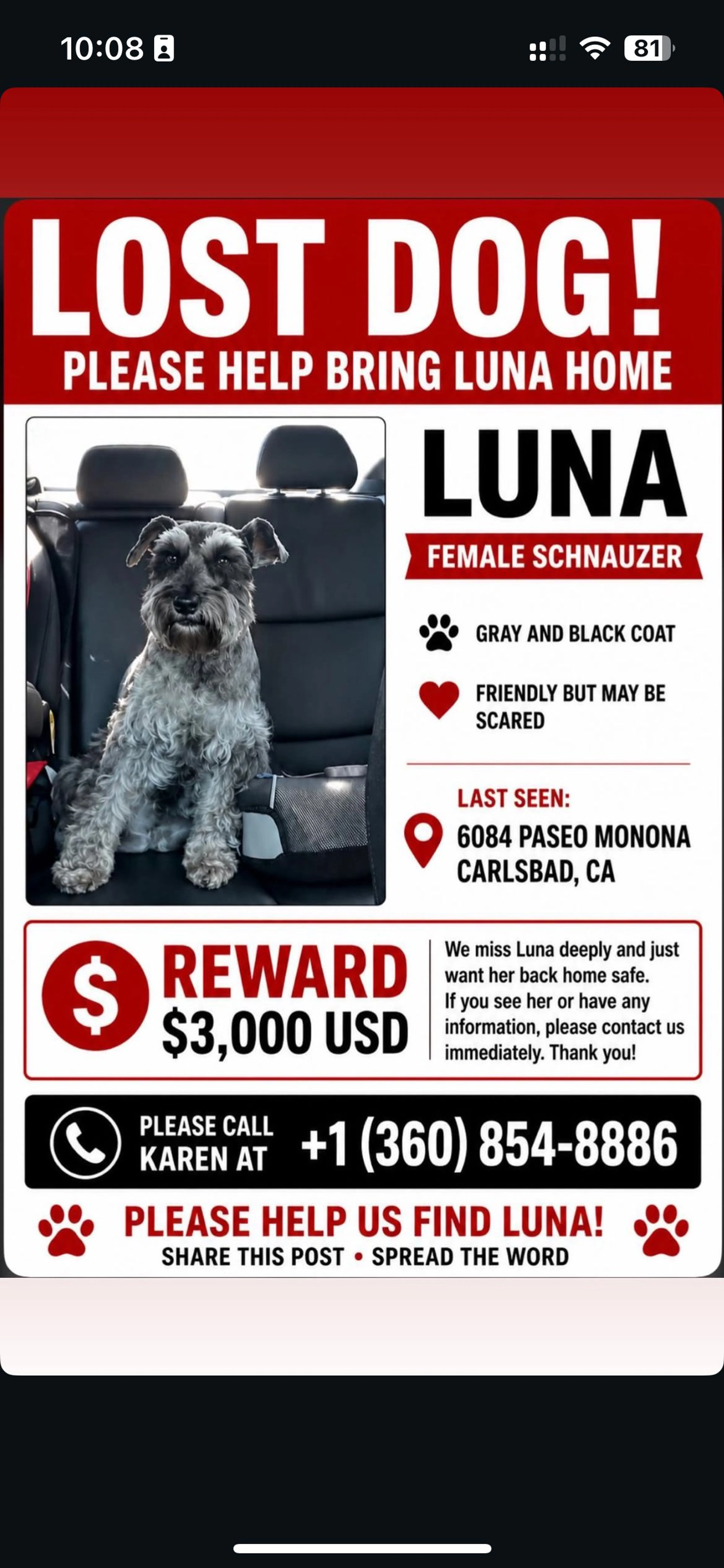 Lost pet-0