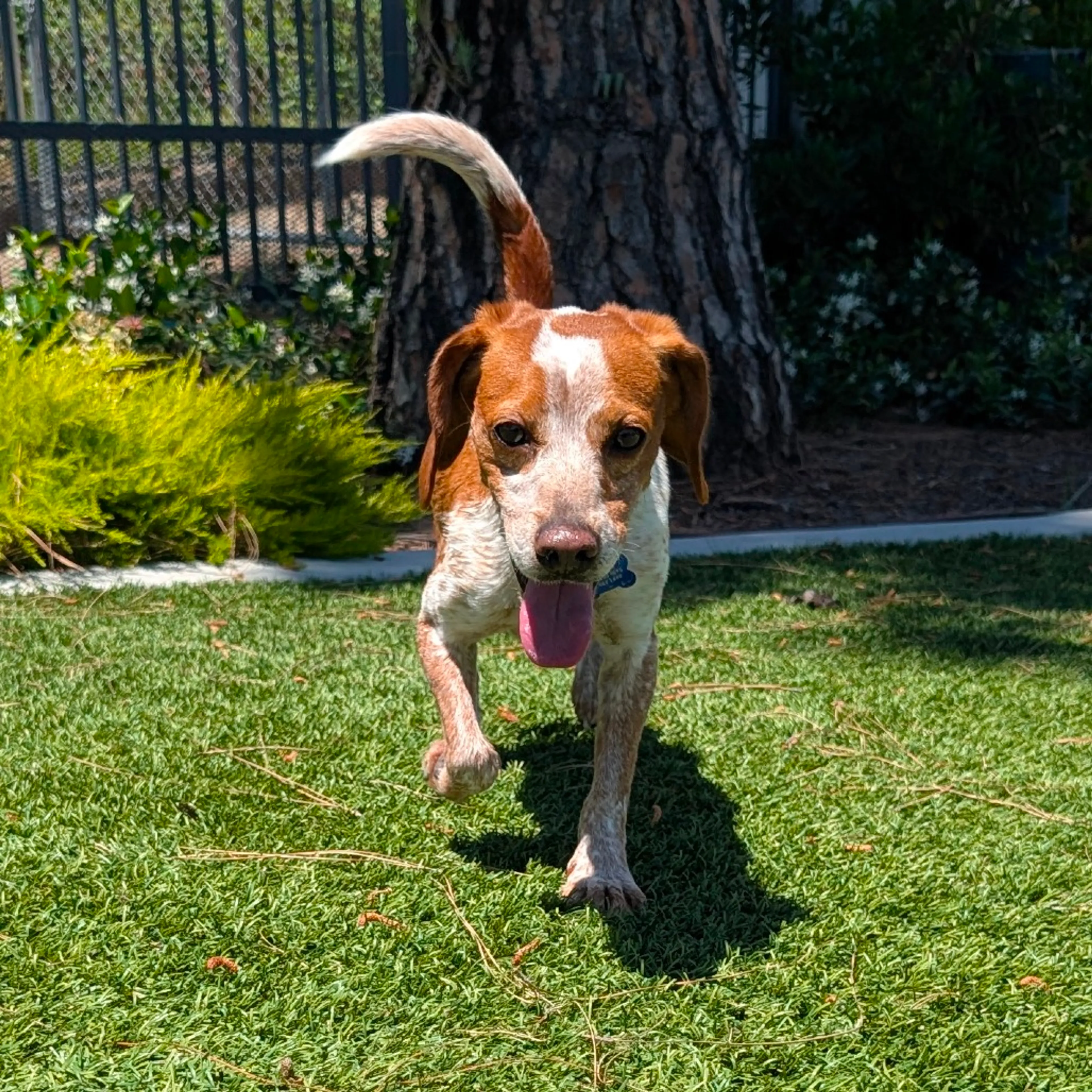 -3